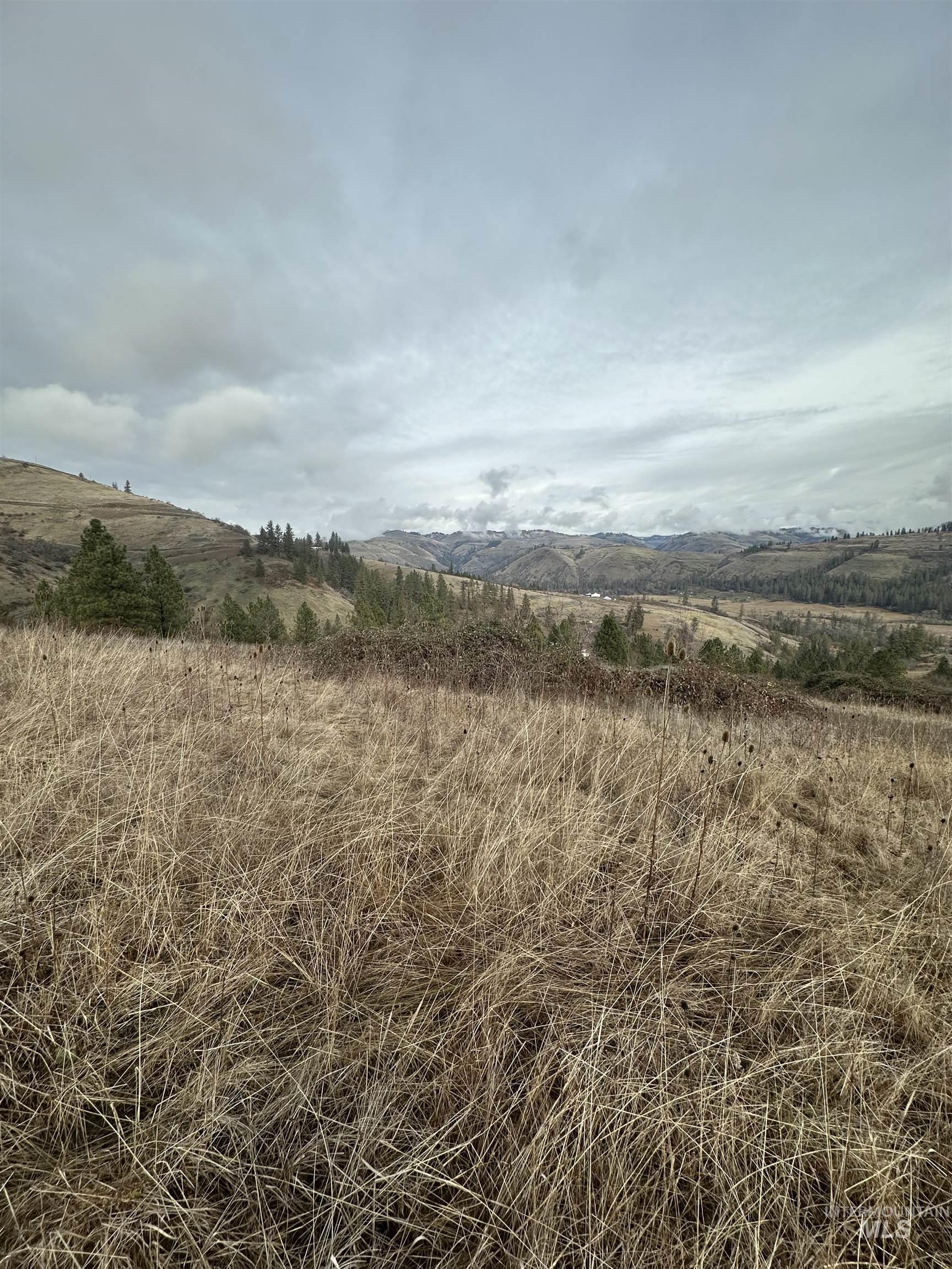 TBD Canyon Dr, Kooskia, Idaho 83539, Land For Sale, Price $68,000,MLS 98975771