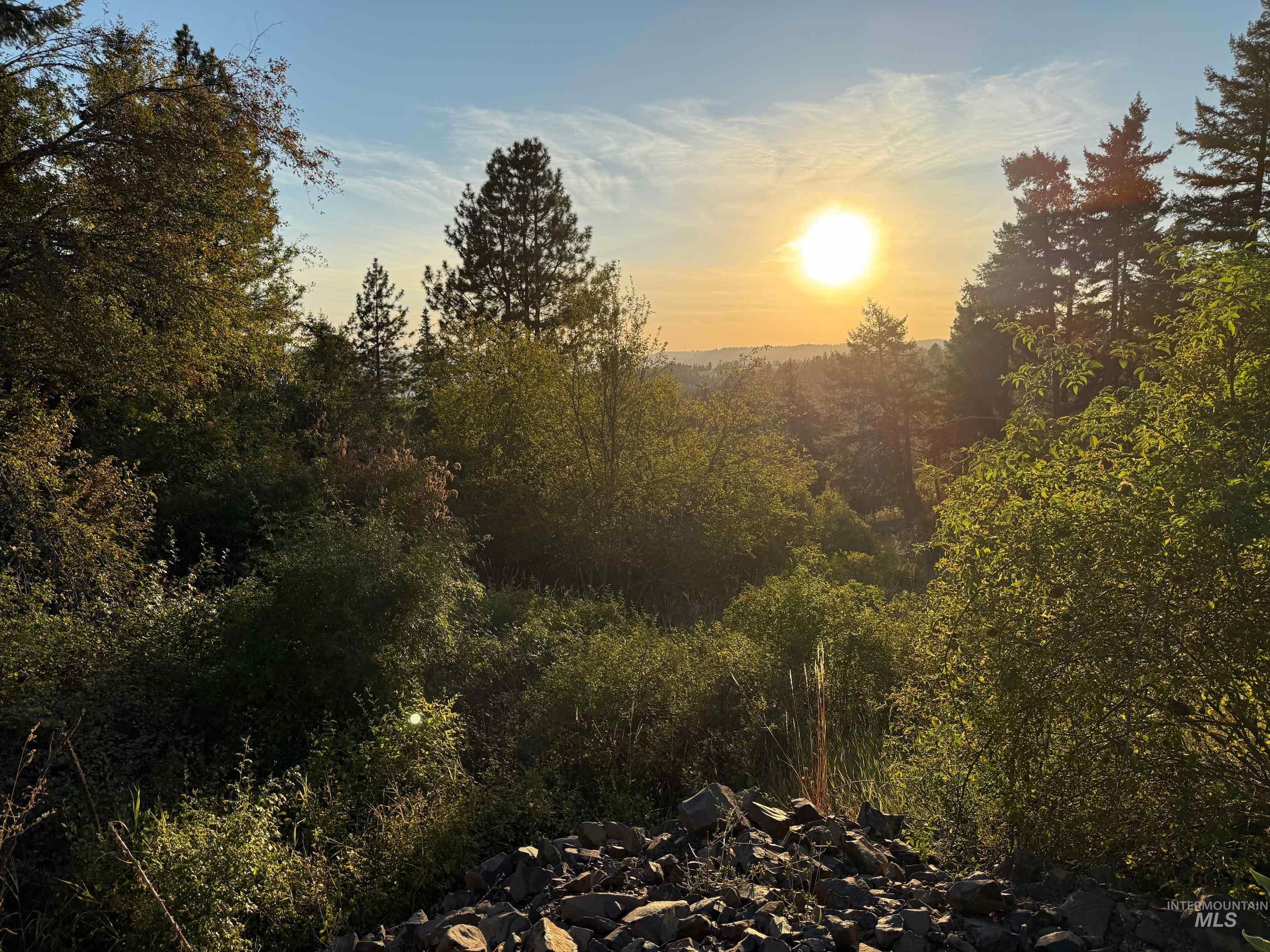 993 Norton Knob Ln, Orofino, Idaho 83544, Land For Sale, Price $230,000, 98975801