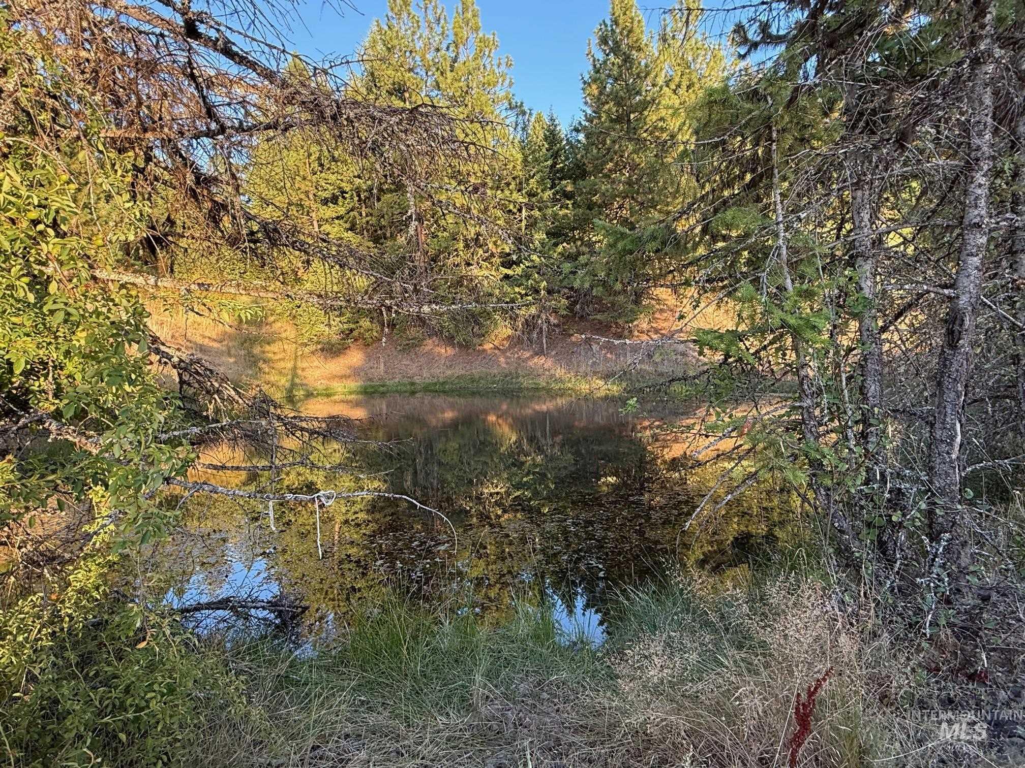 993 Norton Knob Ln, Orofino, Idaho 83544, Land For Sale, Price $230,000,MLS 98975801