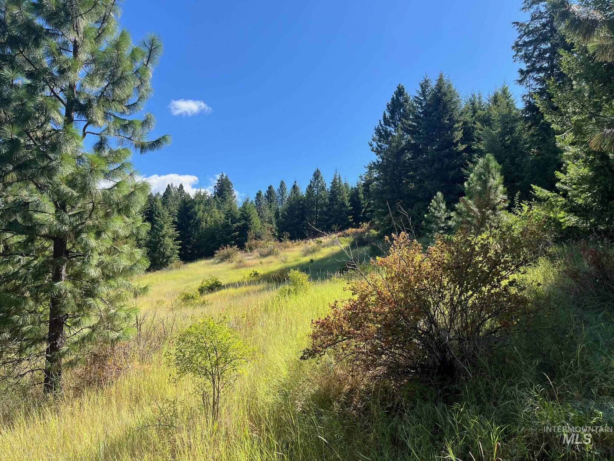 993 Norton Knob Ln, Orofino, Idaho 83544, Land For Sale, Price $230,000, 98975801