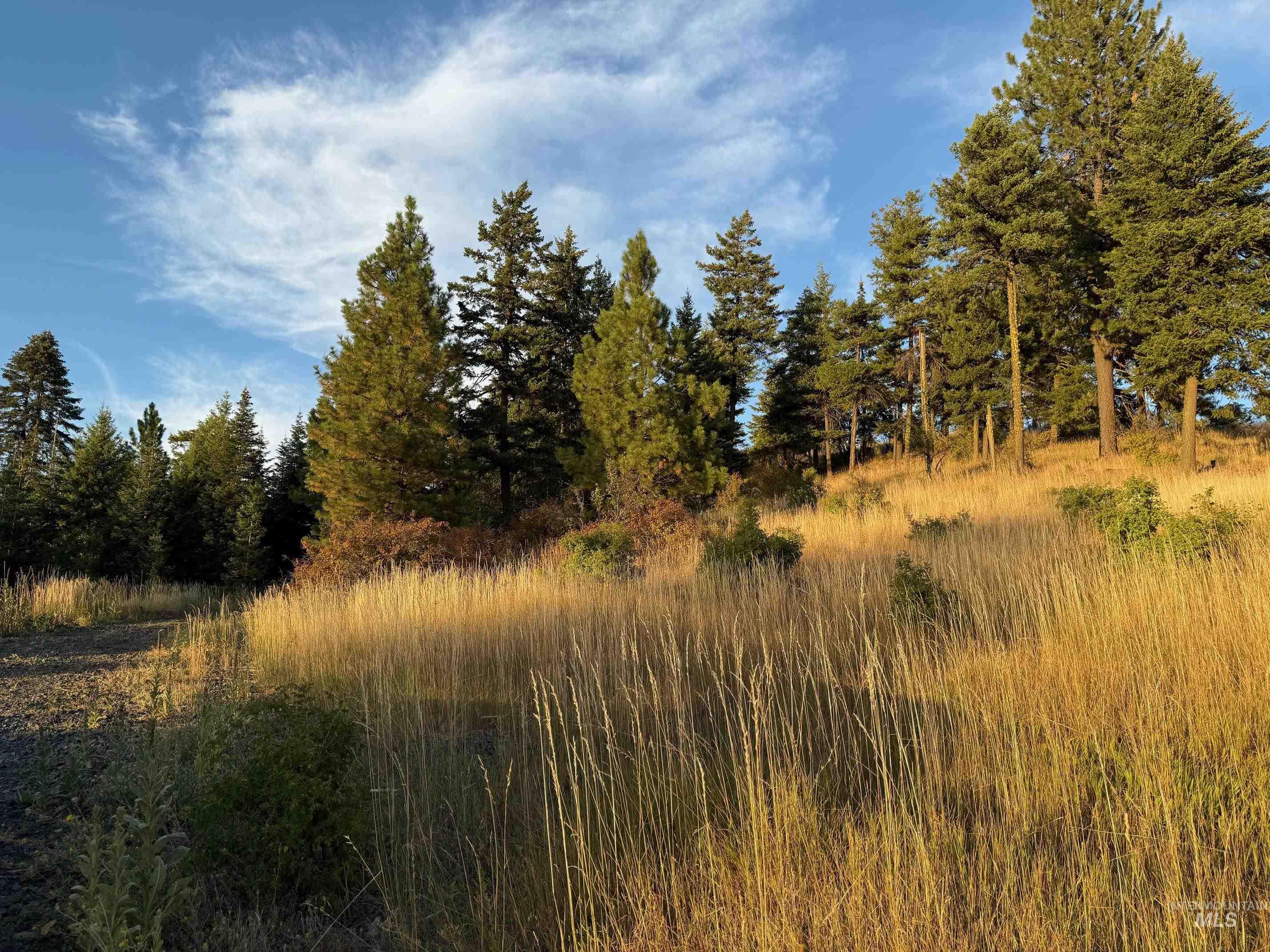 993 Norton Knob Ln, Orofino, Idaho 83544, Land For Sale, Price $230,000,MLS 98975801