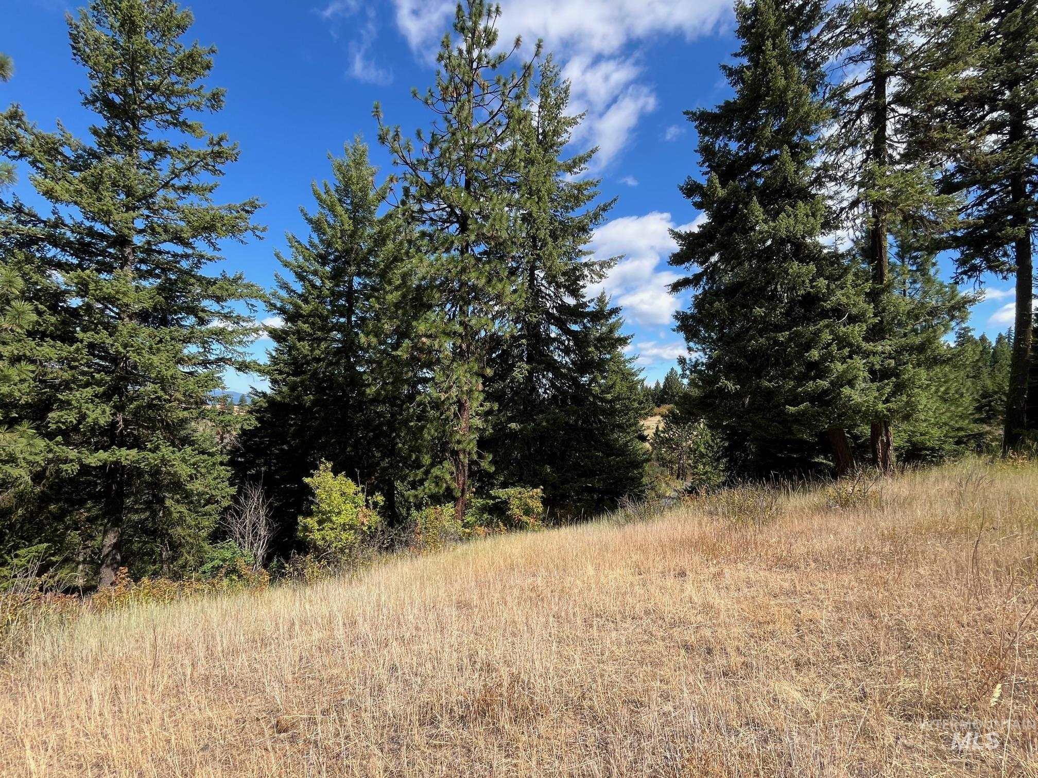 993 Norton Knob Ln, Orofino, Idaho 83544, Land For Sale, Price $230,000, 98975801