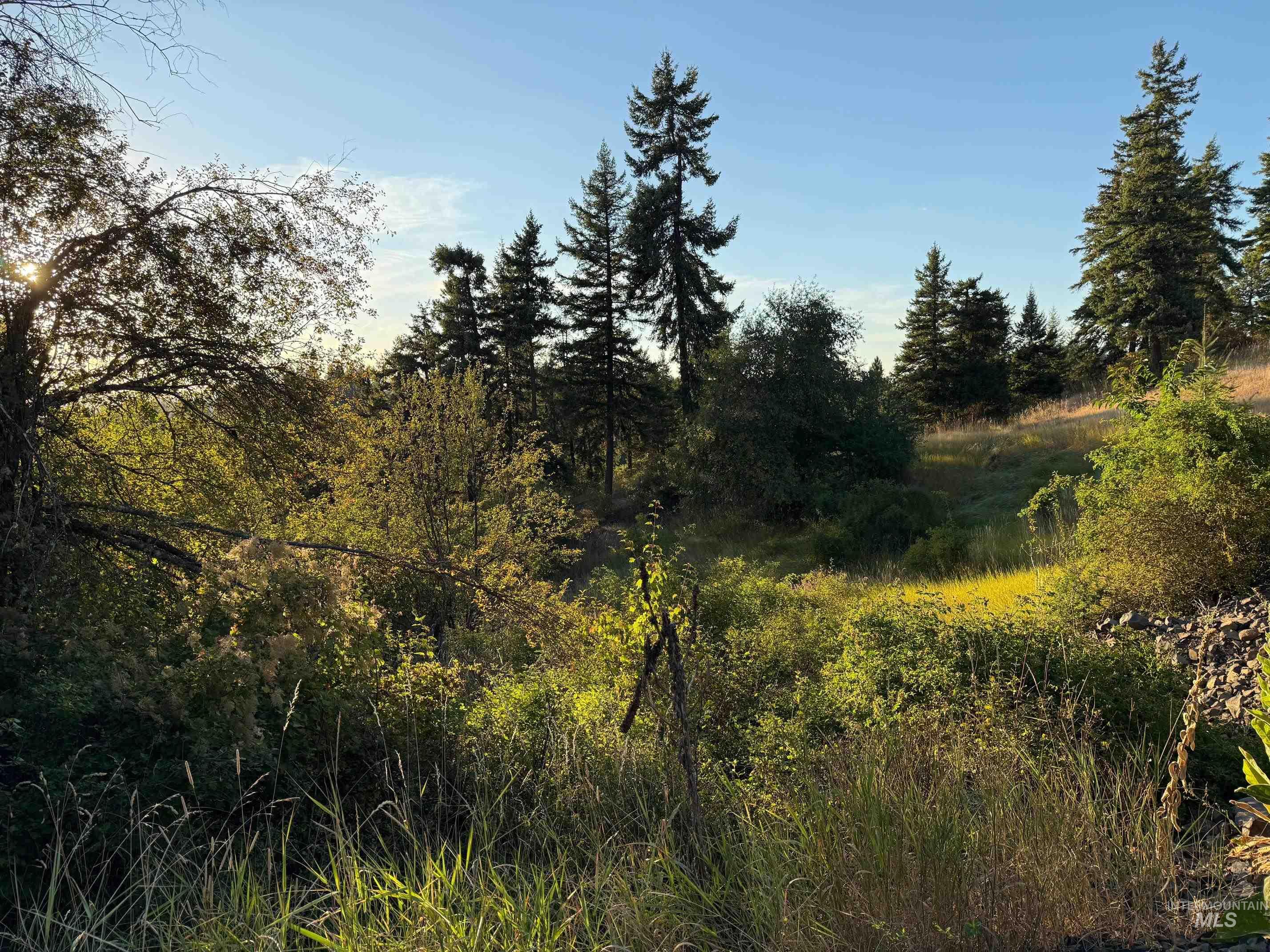 993 Norton Knob Ln, Orofino, Idaho 83544, Land For Sale, Price $230,000,MLS 98975801