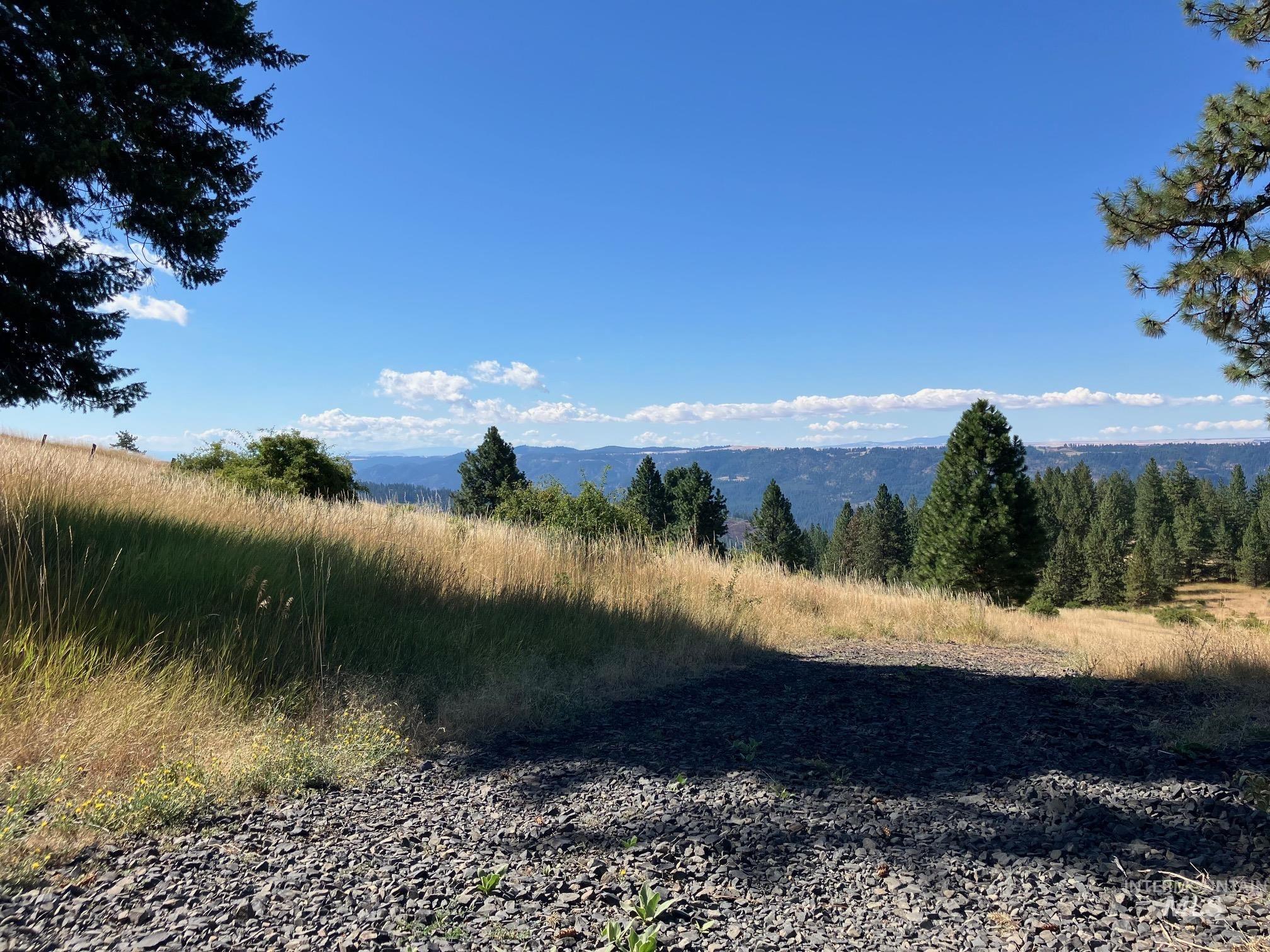 993 Norton Knob Ln, Orofino, Idaho 83544, Land For Sale, Price $230,000, 98975801