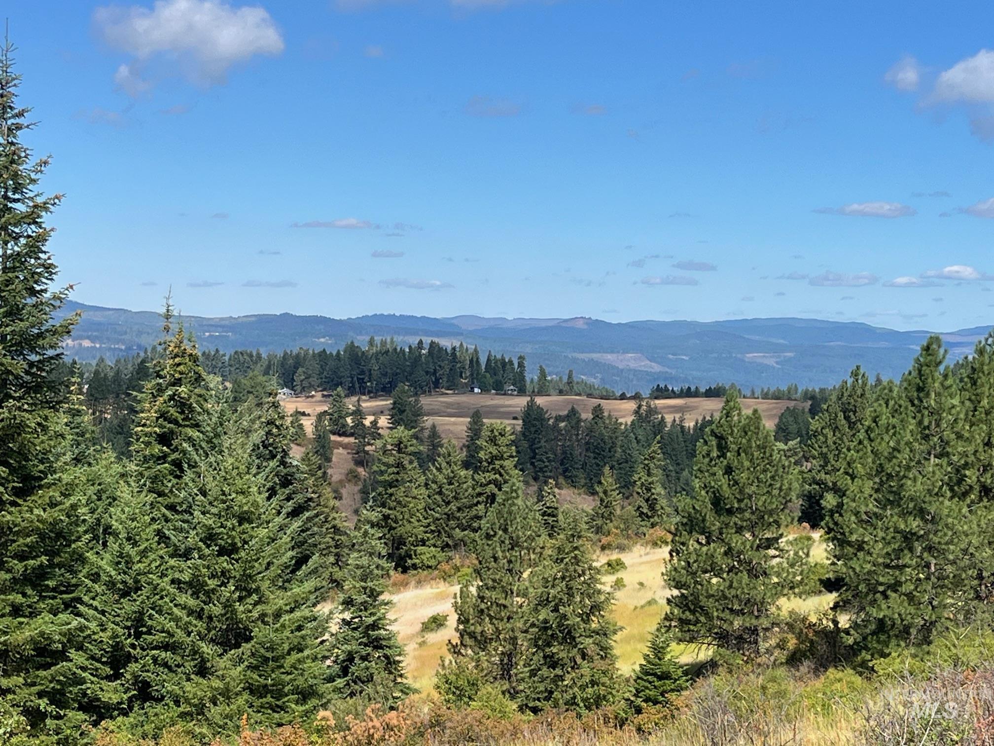 993 Norton Knob Ln, Orofino, Idaho 83544, Land For Sale, Price $230,000, 98975801