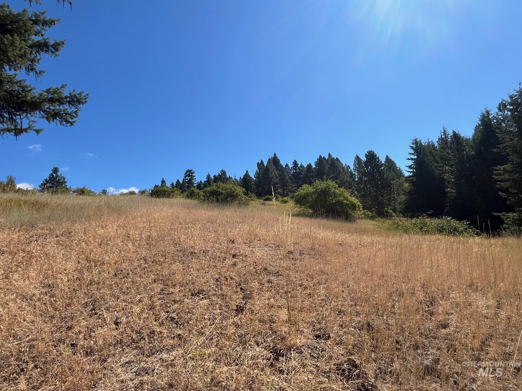 993 Norton Knob Ln, Orofino, Idaho 83544, Land For Sale, Price $230,000,MLS 98975801