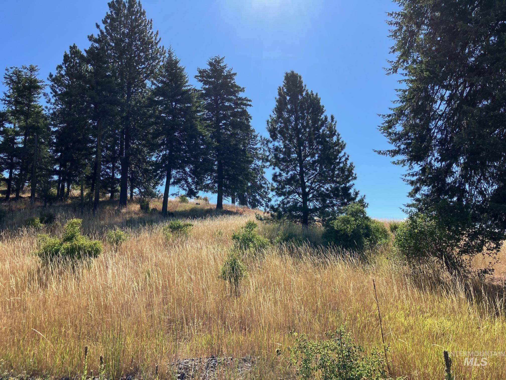 993 Norton Knob Ln, Orofino, Idaho 83544, Land For Sale, Price $230,000, 98975801