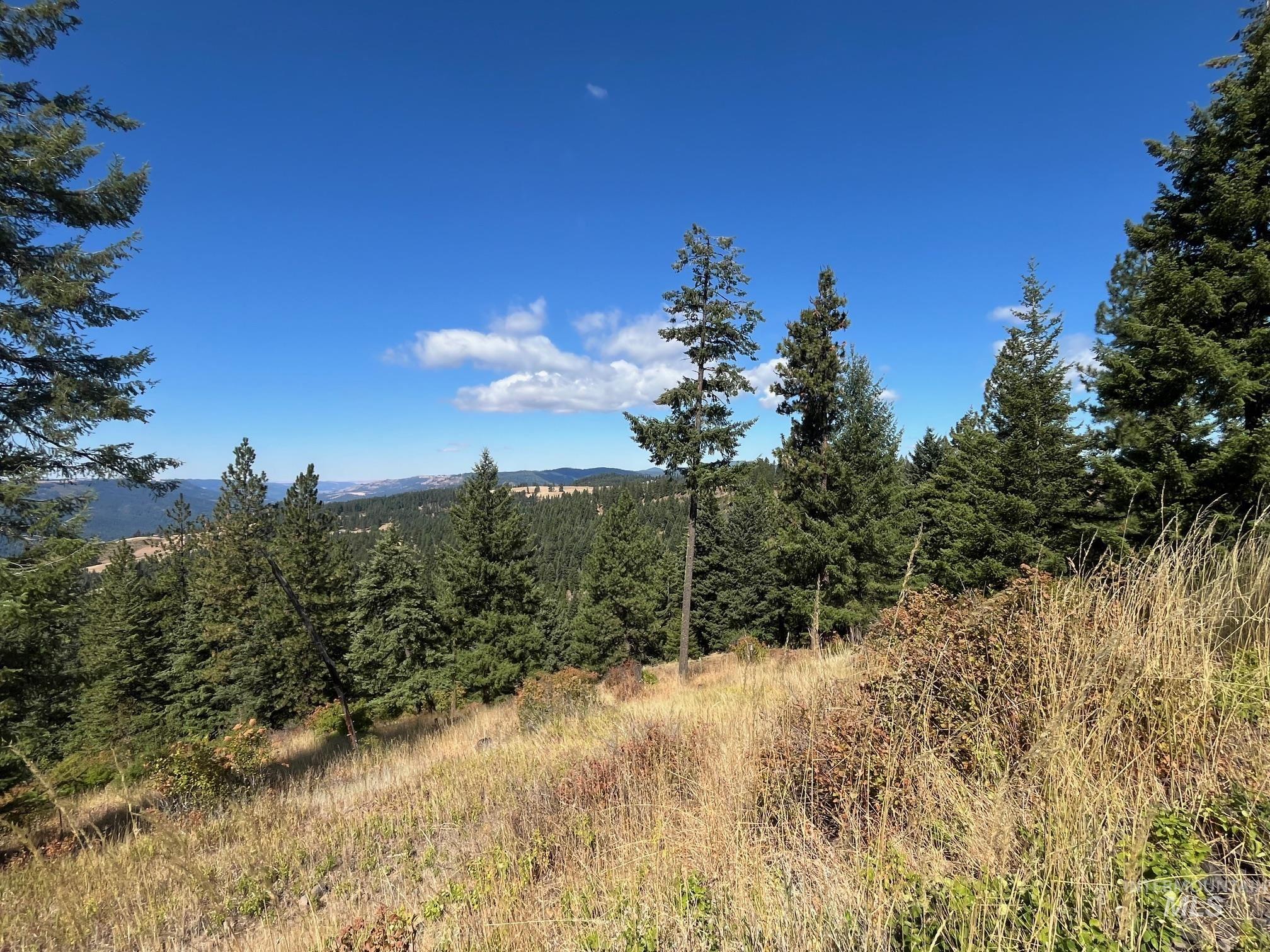 993 Norton Knob Ln, Orofino, Idaho 83544, Land For Sale, Price $230,000,MLS 98975801