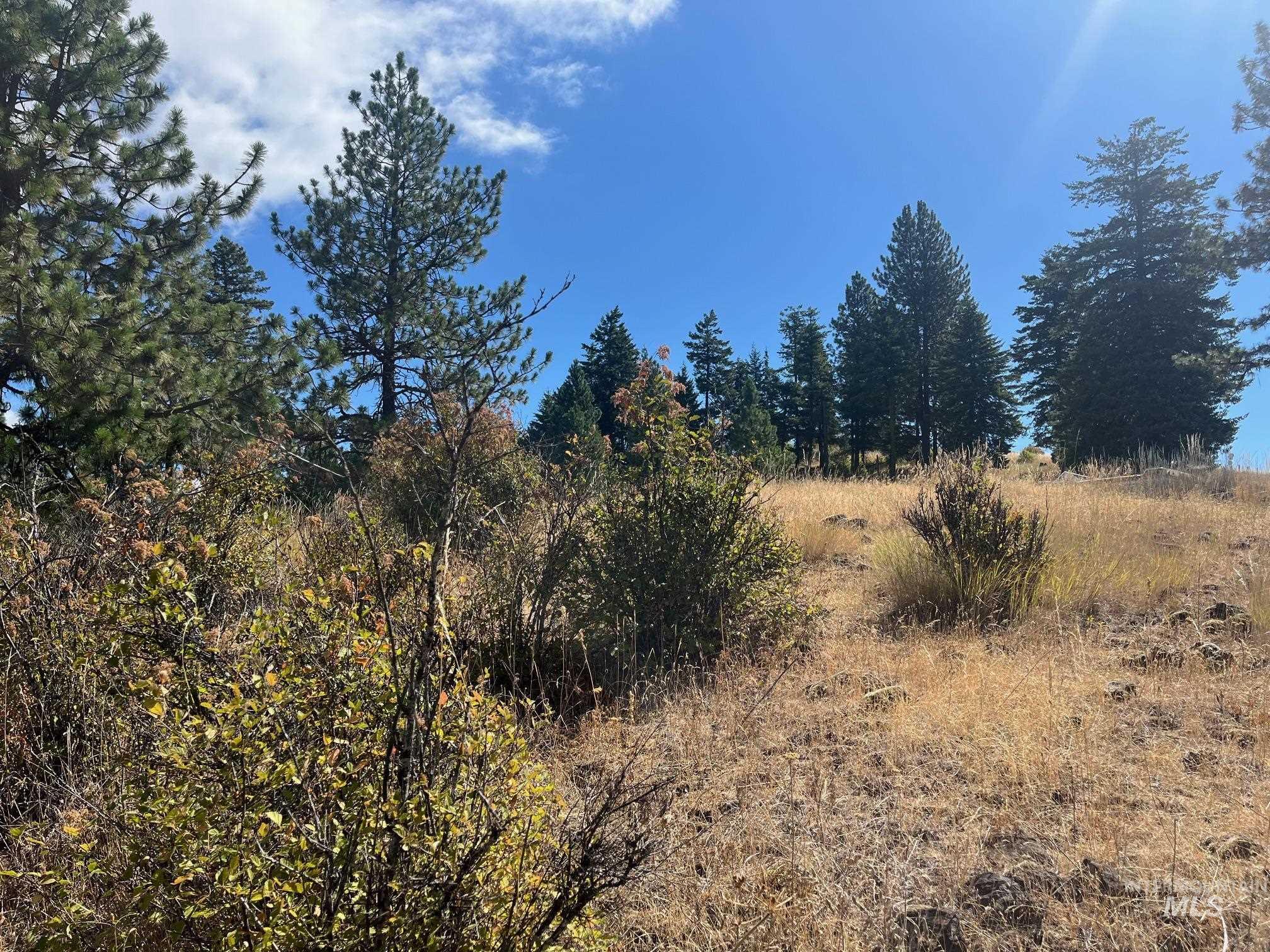 993 Norton Knob Ln, Orofino, Idaho 83544, Land For Sale, Price $230,000,MLS 98975801