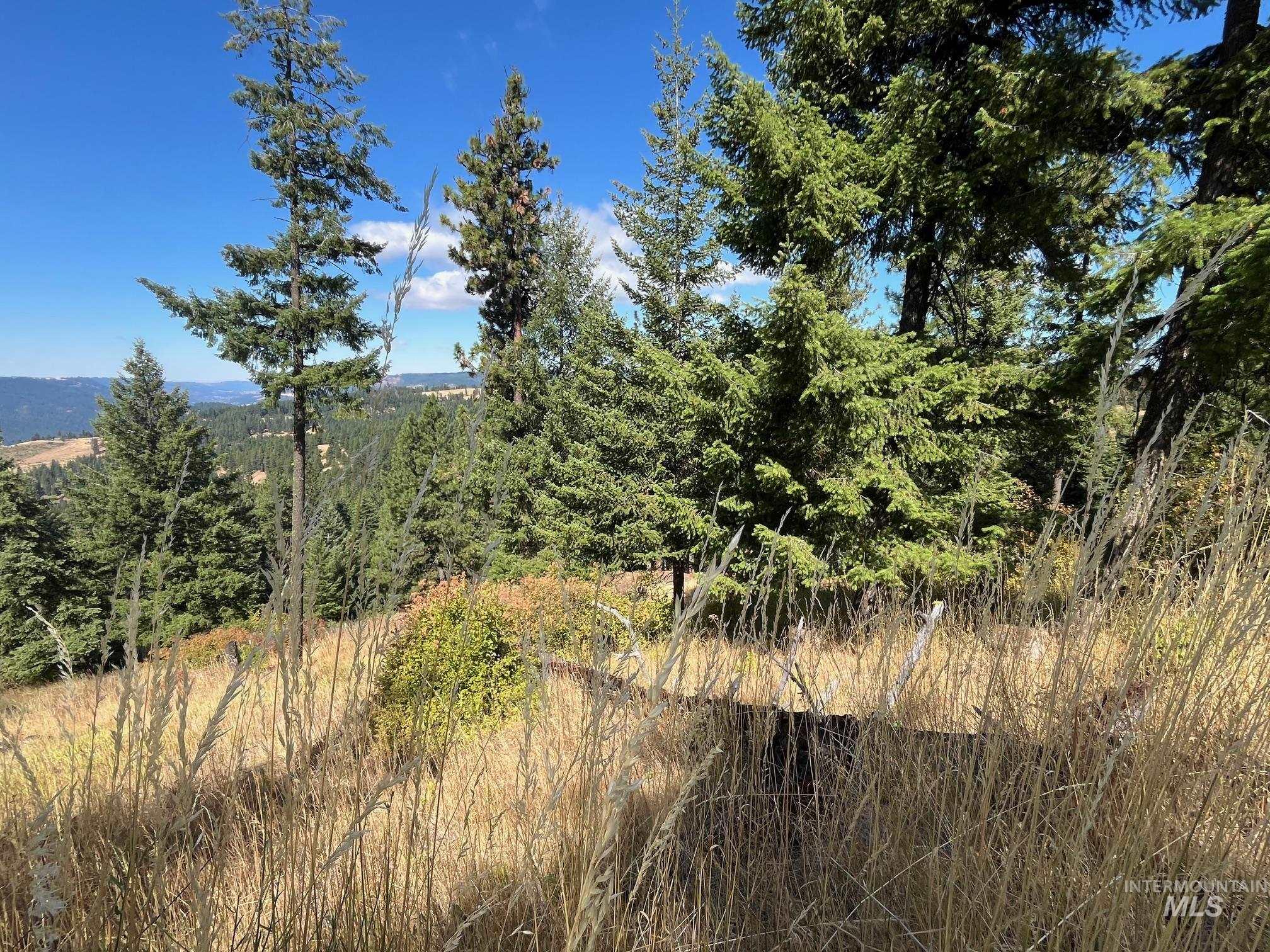 993 Norton Knob Ln, Orofino, Idaho 83544, Land For Sale, Price $230,000,MLS 98975801