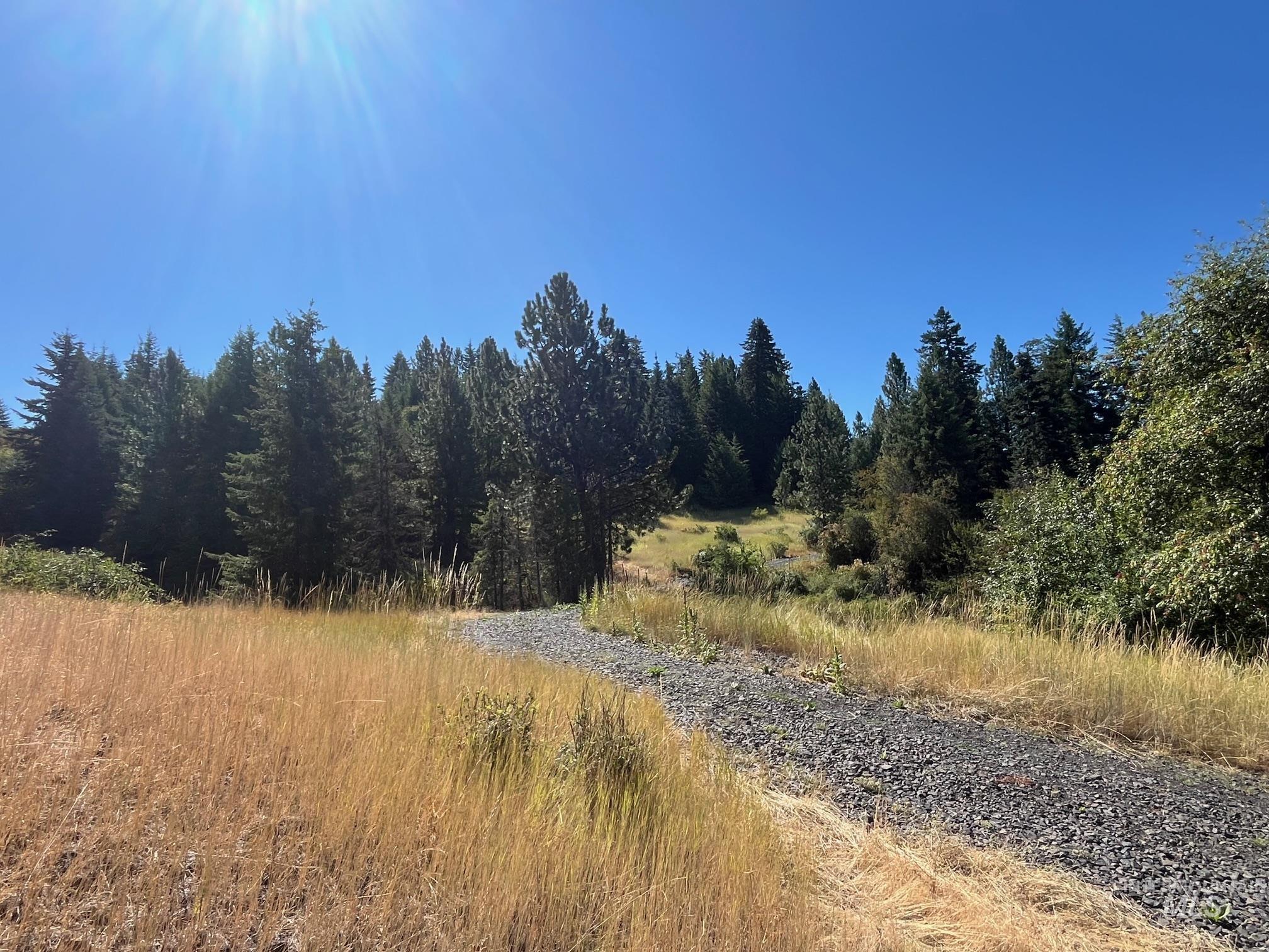 993 Norton Knob Ln, Orofino, Idaho 83544, Land For Sale, Price $230,000, 98975801