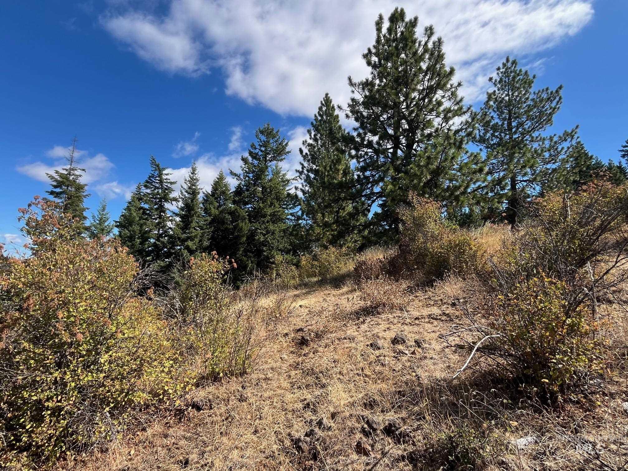 993 Norton Knob Ln, Orofino, Idaho 83544, Land For Sale, Price $230,000,MLS 98975801