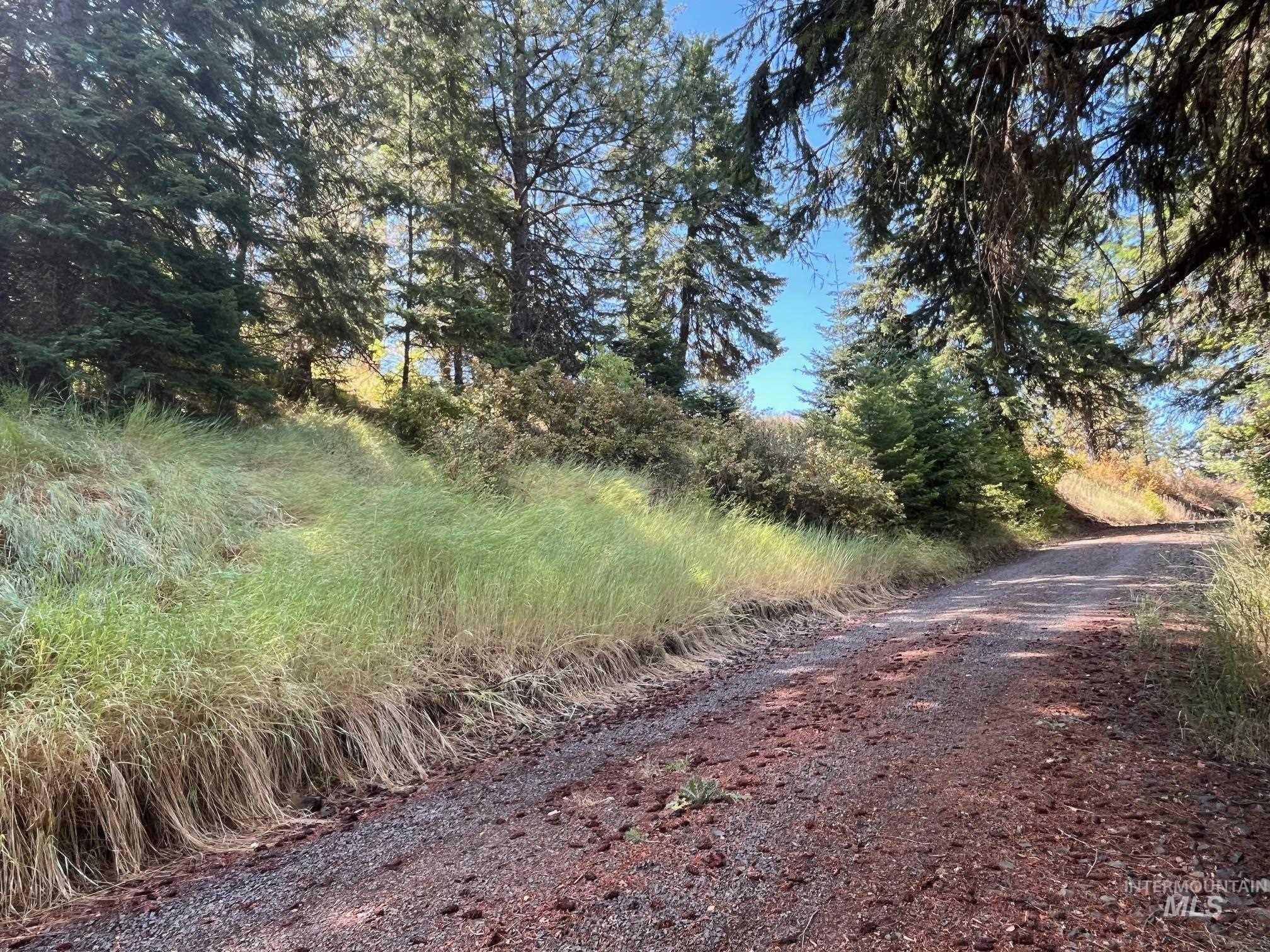 993 Norton Knob Ln, Orofino, Idaho 83544, Land For Sale, Price $230,000,MLS 98975801