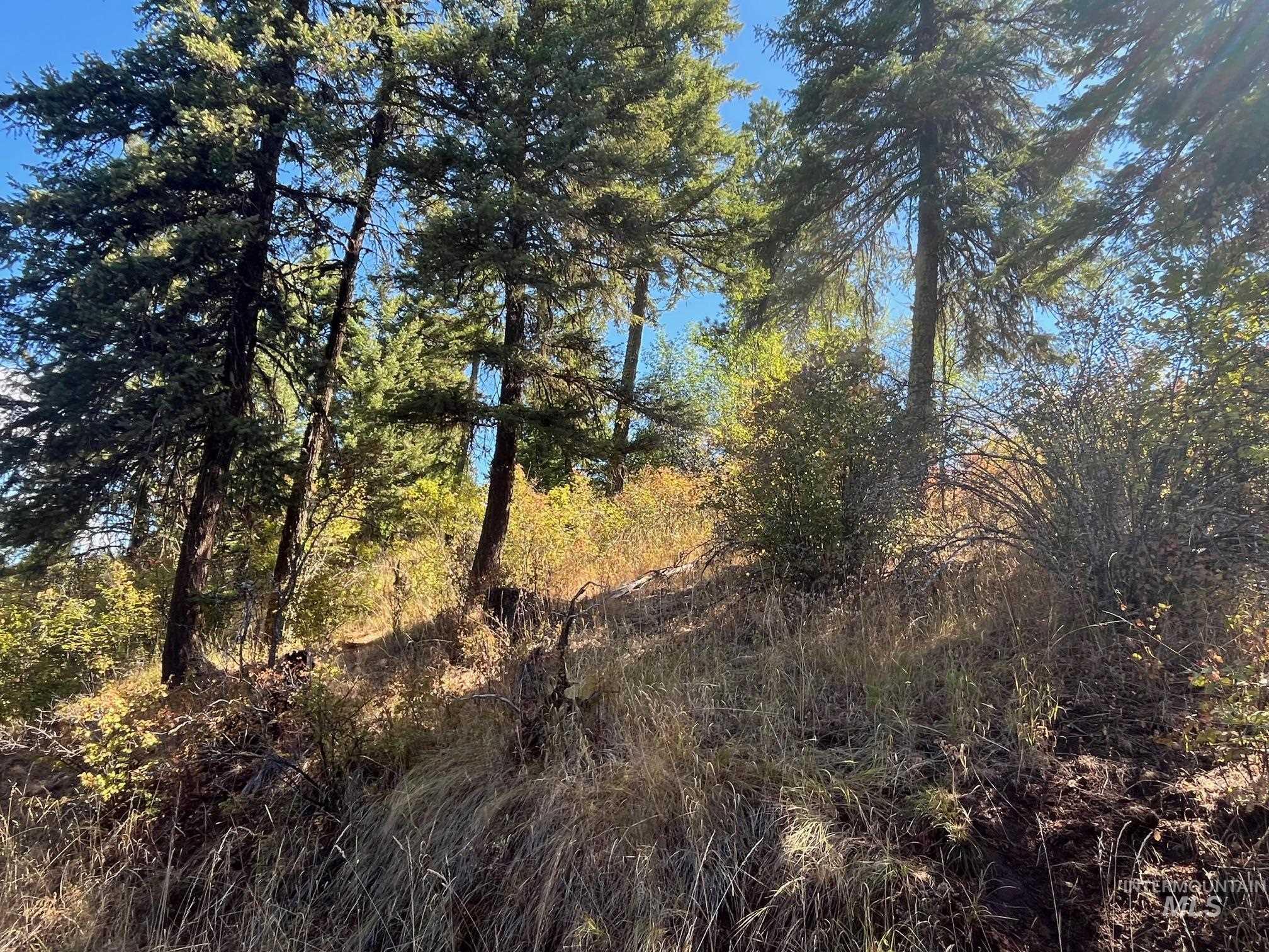 993 Norton Knob Ln, Orofino, Idaho 83544, Land For Sale, Price $230,000,MLS 98975801