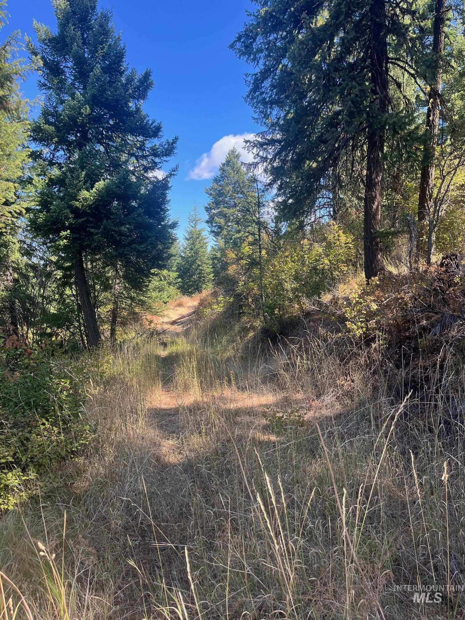 993 Norton Knob Ln, Orofino, Idaho 83544, Land For Sale, Price $230,000,MLS 98975801