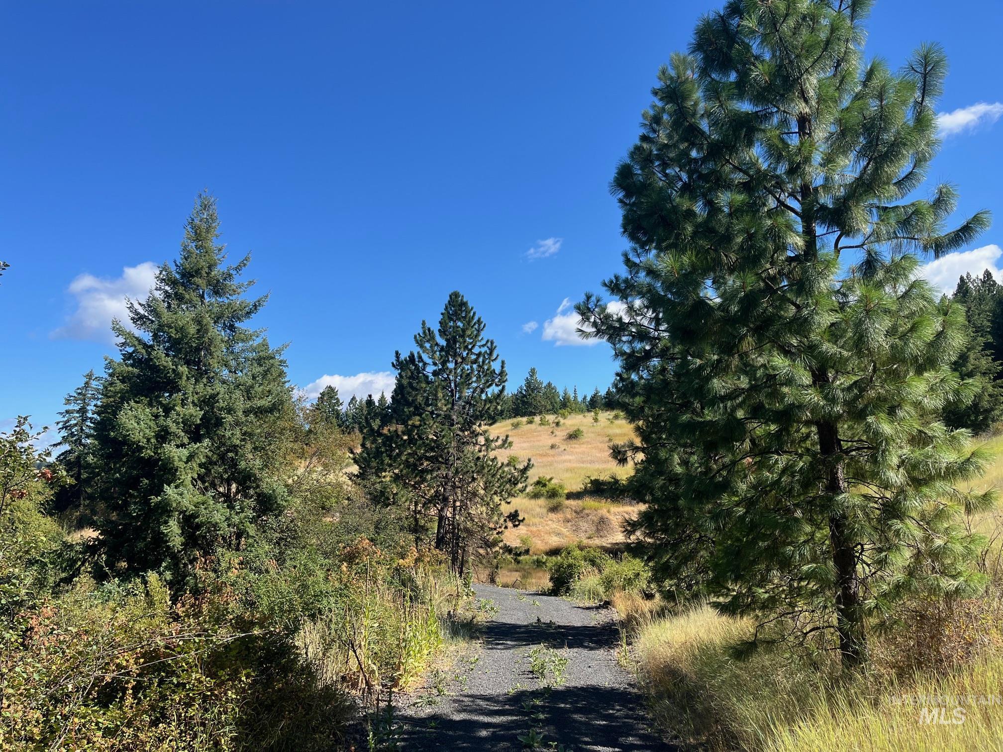 993 Norton Knob Ln, Orofino, Idaho 83544, Land For Sale, Price $230,000, 98975801