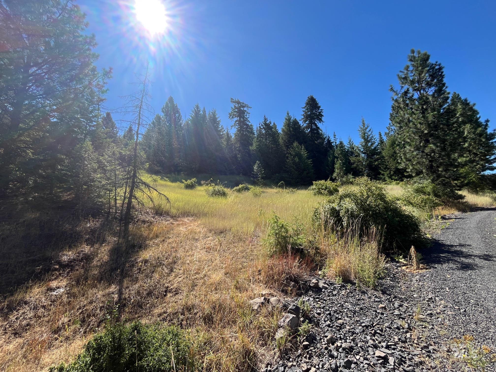 993 Norton Knob Ln, Orofino, Idaho 83544, Land For Sale, Price $230,000,MLS 98975801