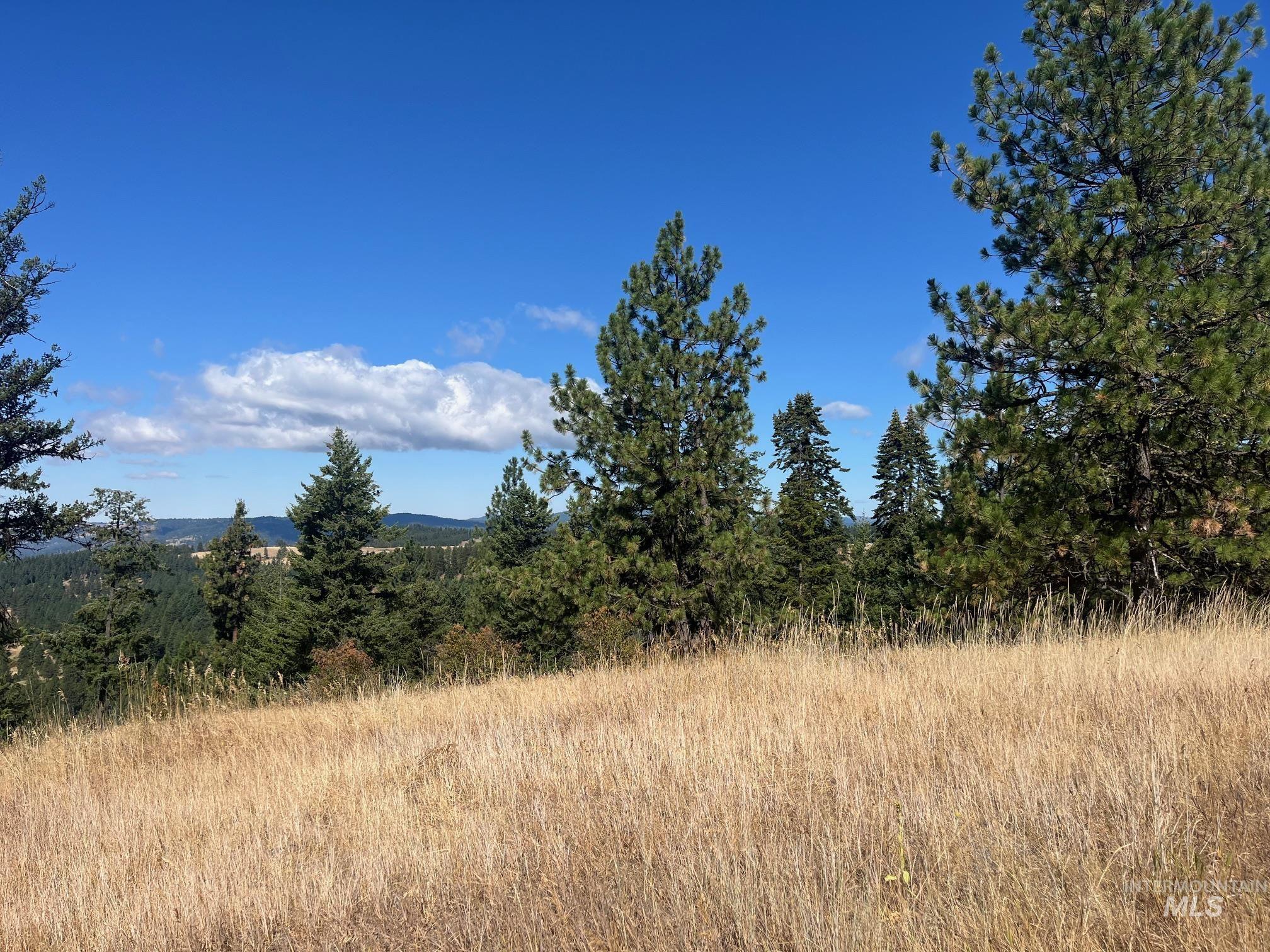 993 Norton Knob Ln, Orofino, Idaho 83544, Land For Sale, Price $230,000, 98975801
