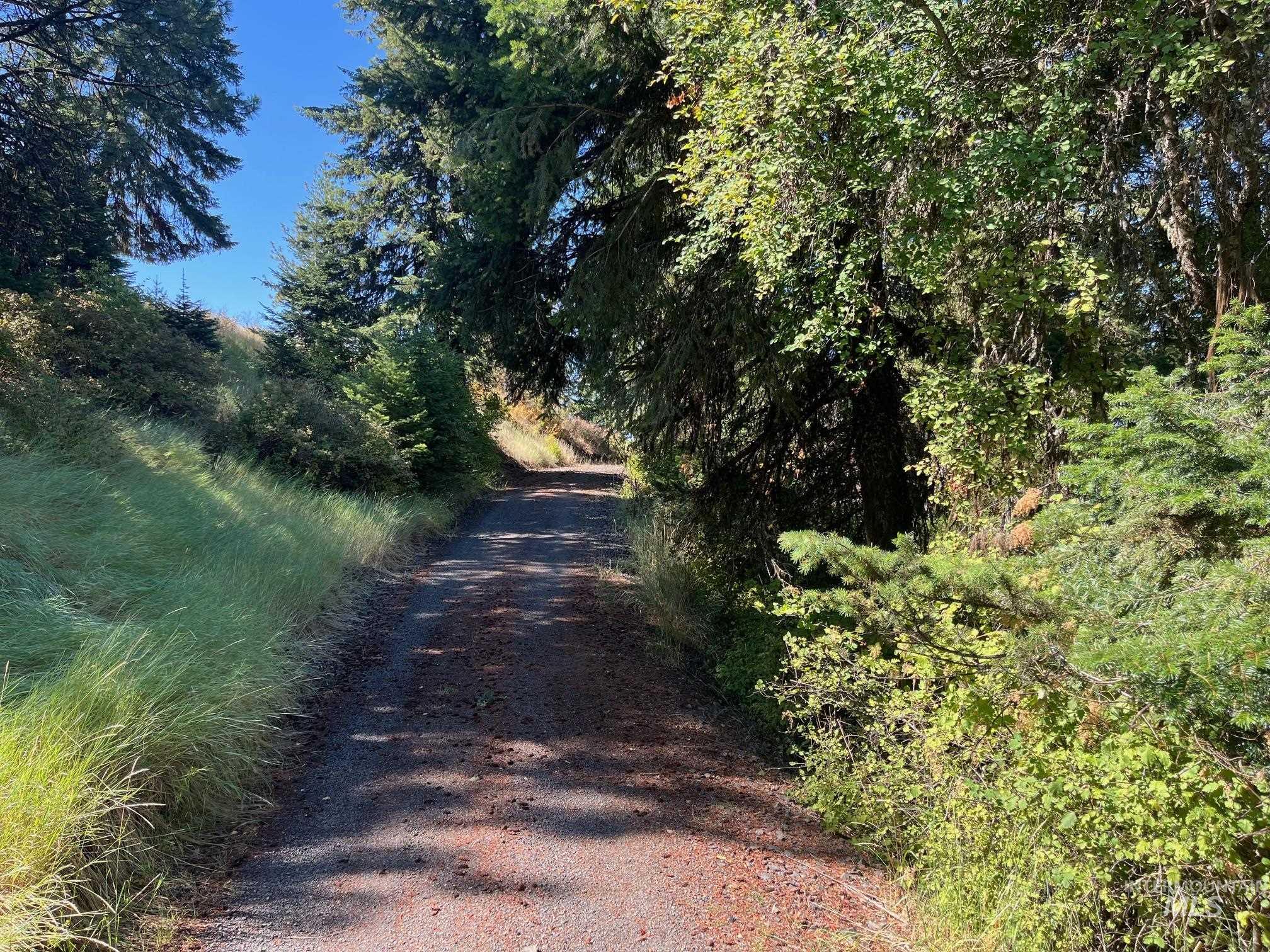 993 Norton Knob Ln, Orofino, Idaho 83544, Land For Sale, Price $230,000,MLS 98975801