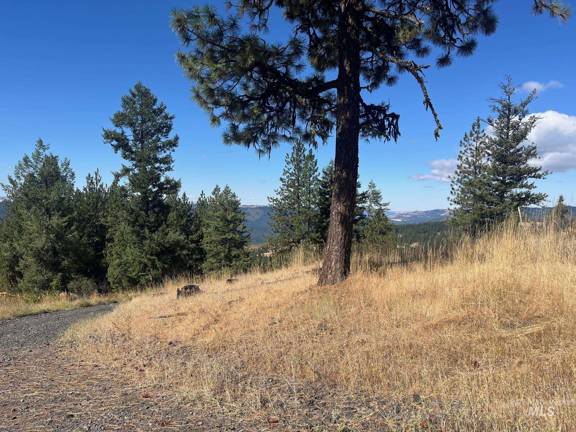 993 Norton Knob Ln, Orofino, Idaho 83544, Land For Sale, Price $230,000, 98975801