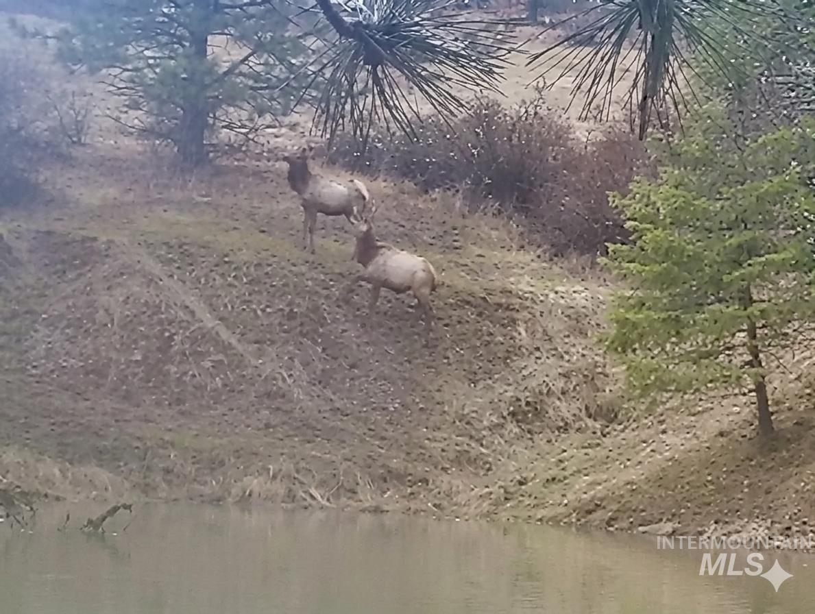 993 Norton Knob Ln, Orofino, Idaho 83544, Land For Sale, Price $230,000,MLS 98975801