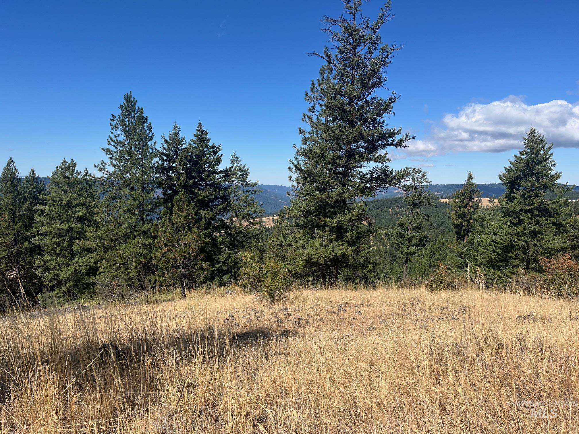 993 Norton Knob Ln, Orofino, Idaho 83544, Land For Sale, Price $230,000, 98975801