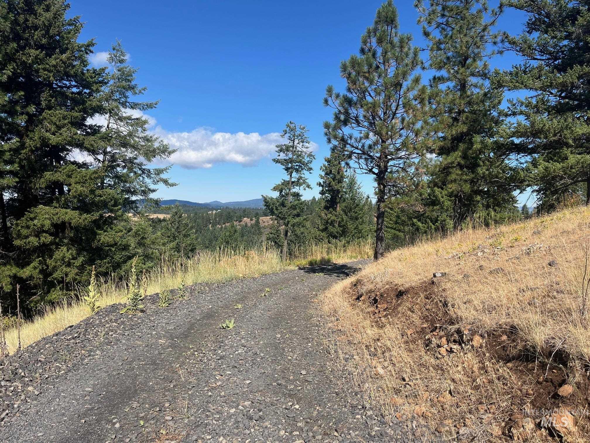 993 Norton Knob Ln, Orofino, Idaho 83544, Land For Sale, Price $230,000,MLS 98975801
