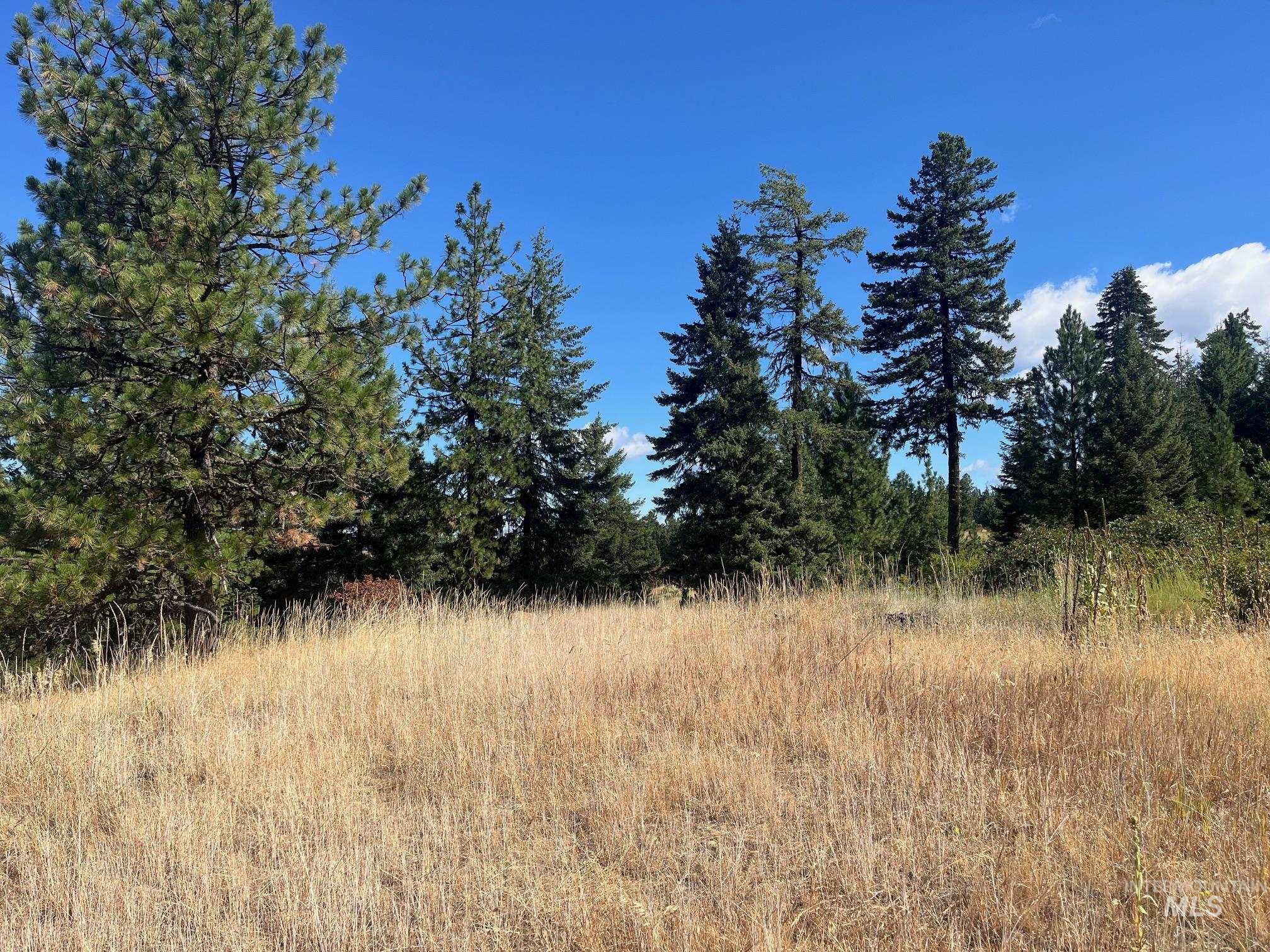 993 Norton Knob Ln, Orofino, Idaho 83544, Land For Sale, Price $230,000,MLS 98975801