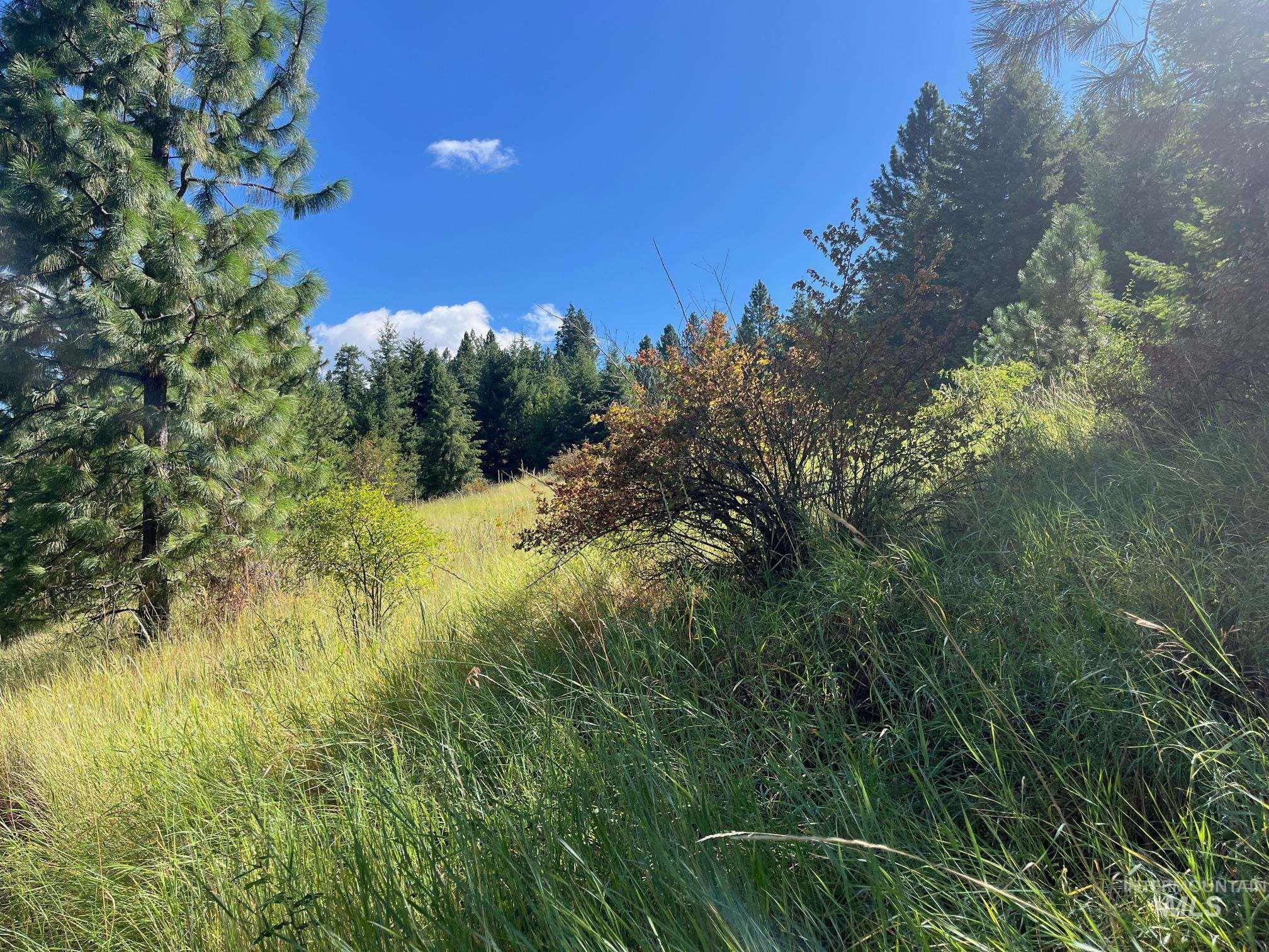 993 Norton Knob Ln, Orofino, Idaho 83544, Land For Sale, Price $230,000,MLS 98975801