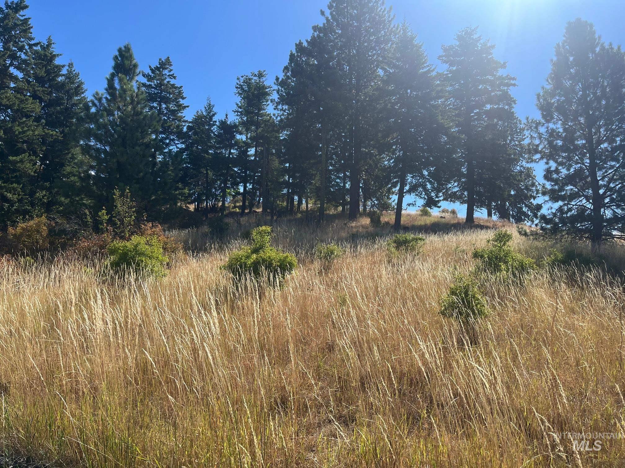 993 Norton Knob Ln, Orofino, Idaho 83544, Land For Sale, Price $230,000,MLS 98975801