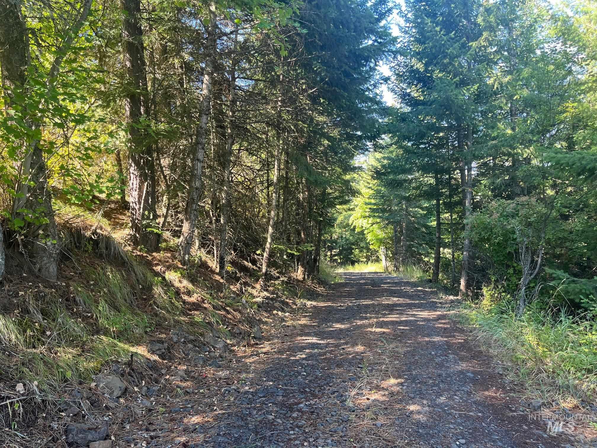 993 Norton Knob Ln, Orofino, Idaho 83544, Land For Sale, Price $230,000, 98975801
