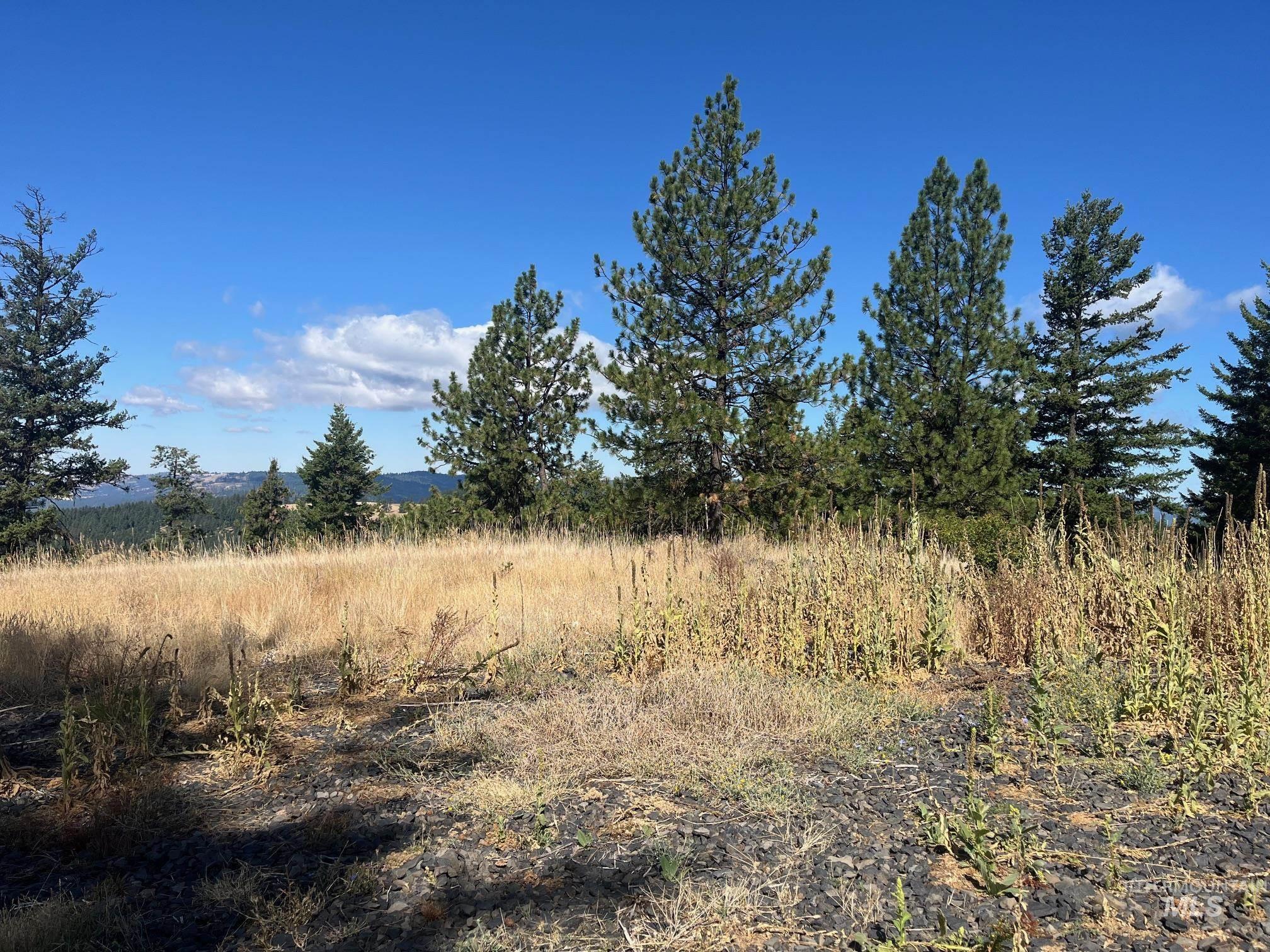 993 Norton Knob Ln, Orofino, Idaho 83544, Land For Sale, Price $230,000,MLS 98975801