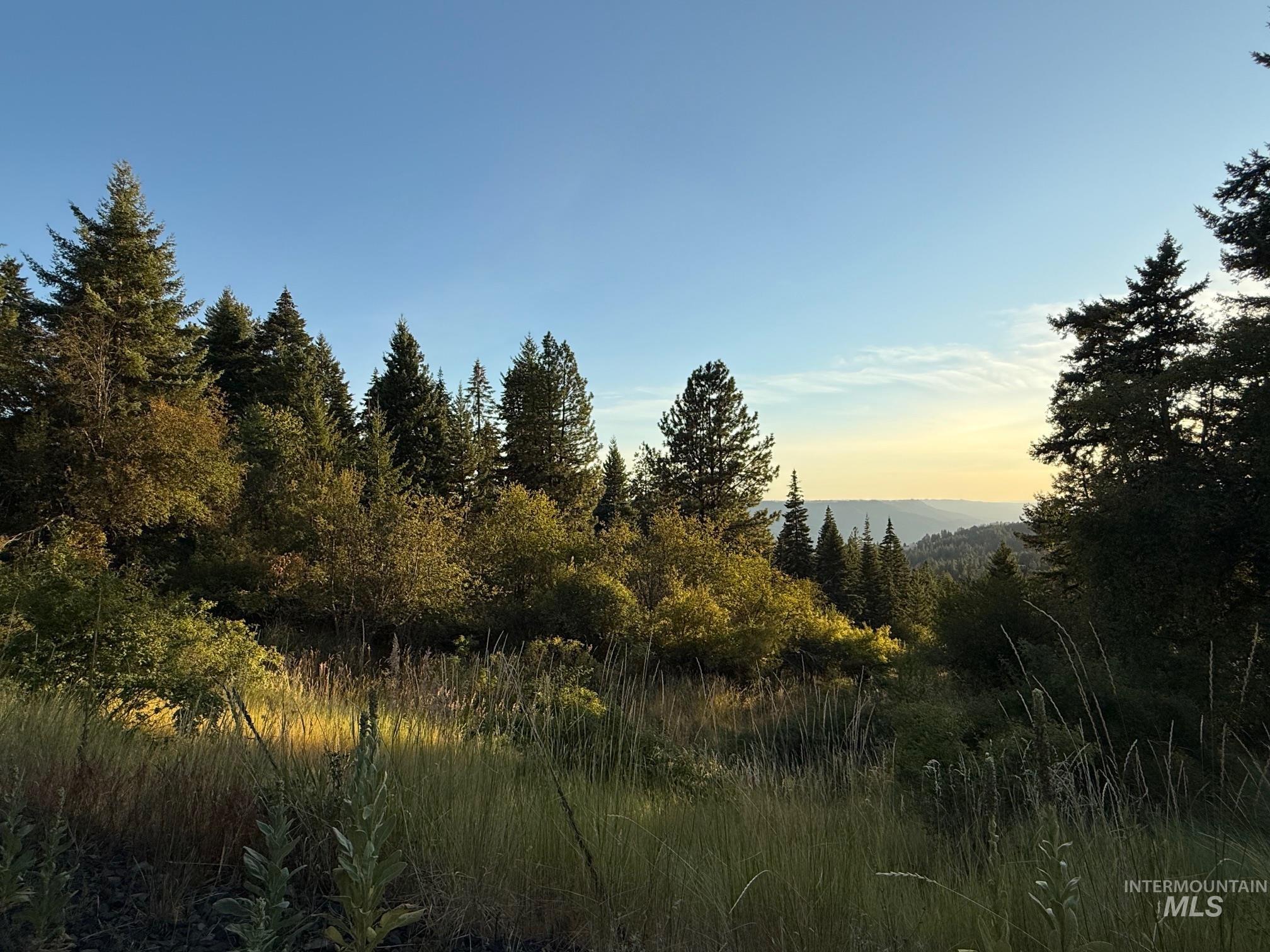 993 Norton Knob Ln, Orofino, Idaho 83544, Land For Sale, Price $230,000, 98975801