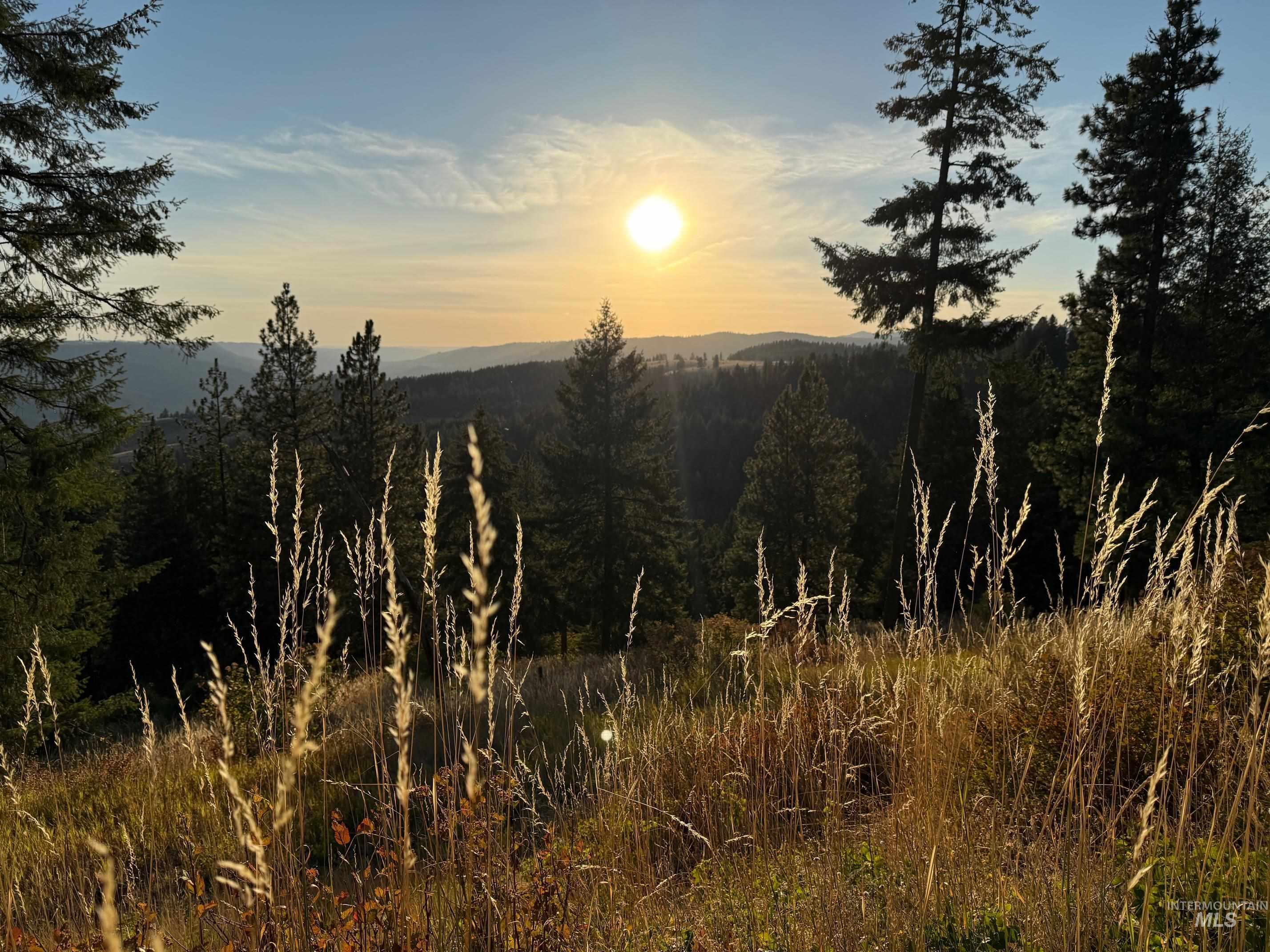 993 Norton Knob Ln, Orofino, Idaho 83544, Land For Sale, Price $230,000, 98975801