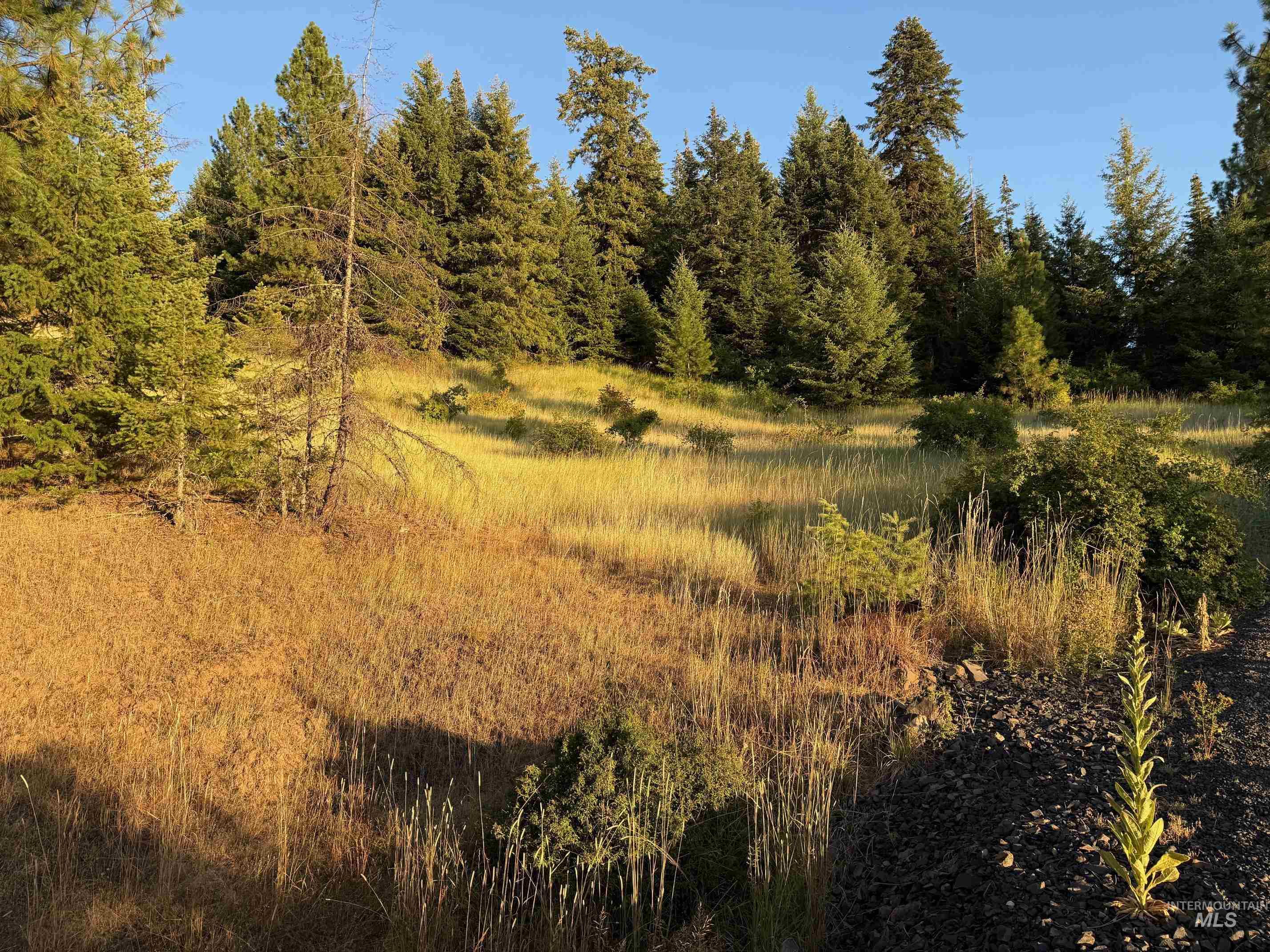 993 Norton Knob Ln, Orofino, Idaho 83544, Land For Sale, Price $230,000,MLS 98975801
