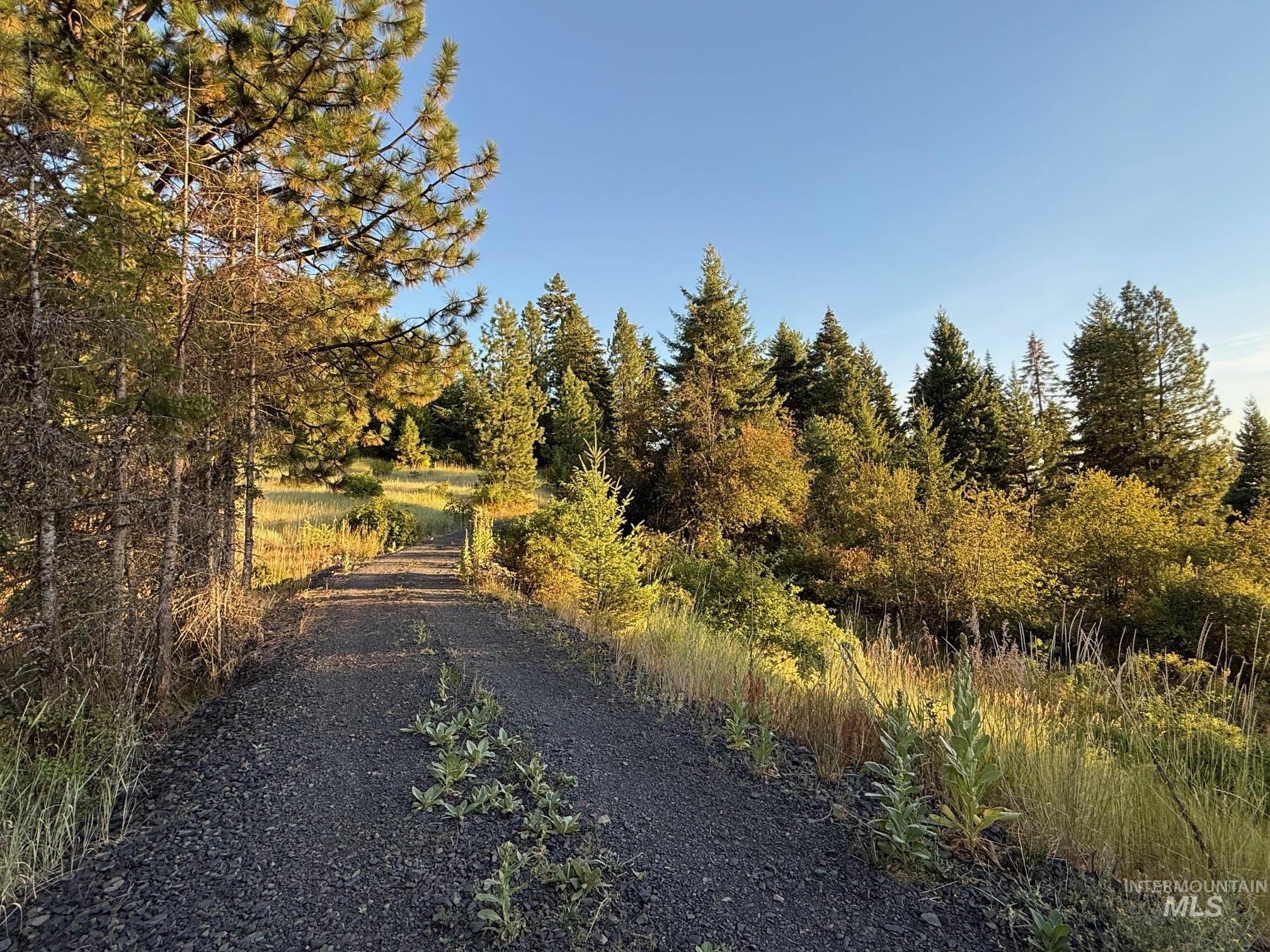993 Norton Knob Ln, Orofino, Idaho 83544, Land For Sale, Price $230,000,MLS 98975801