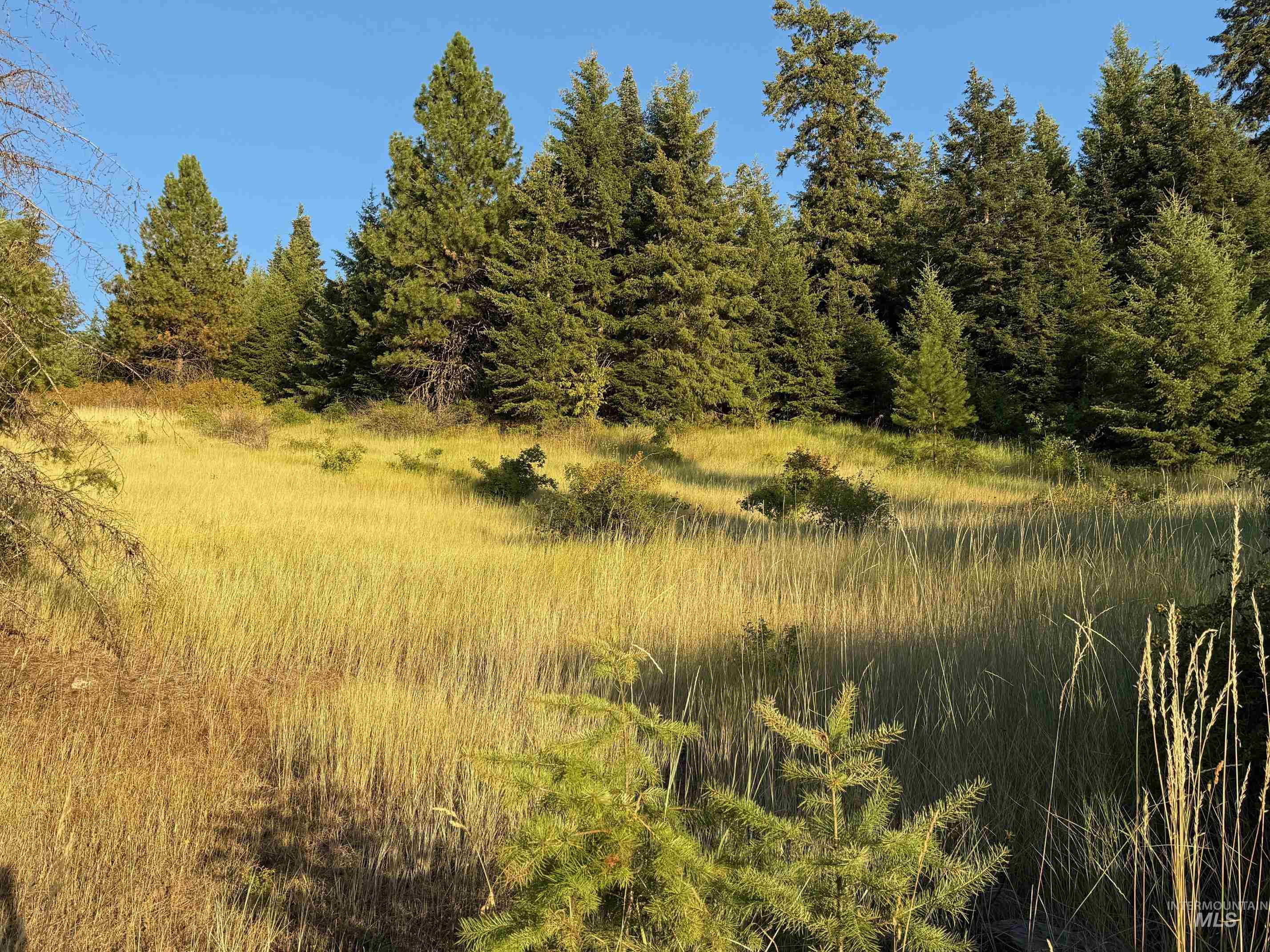993 Norton Knob Ln, Orofino, Idaho 83544, Land For Sale, Price $230,000,MLS 98975801