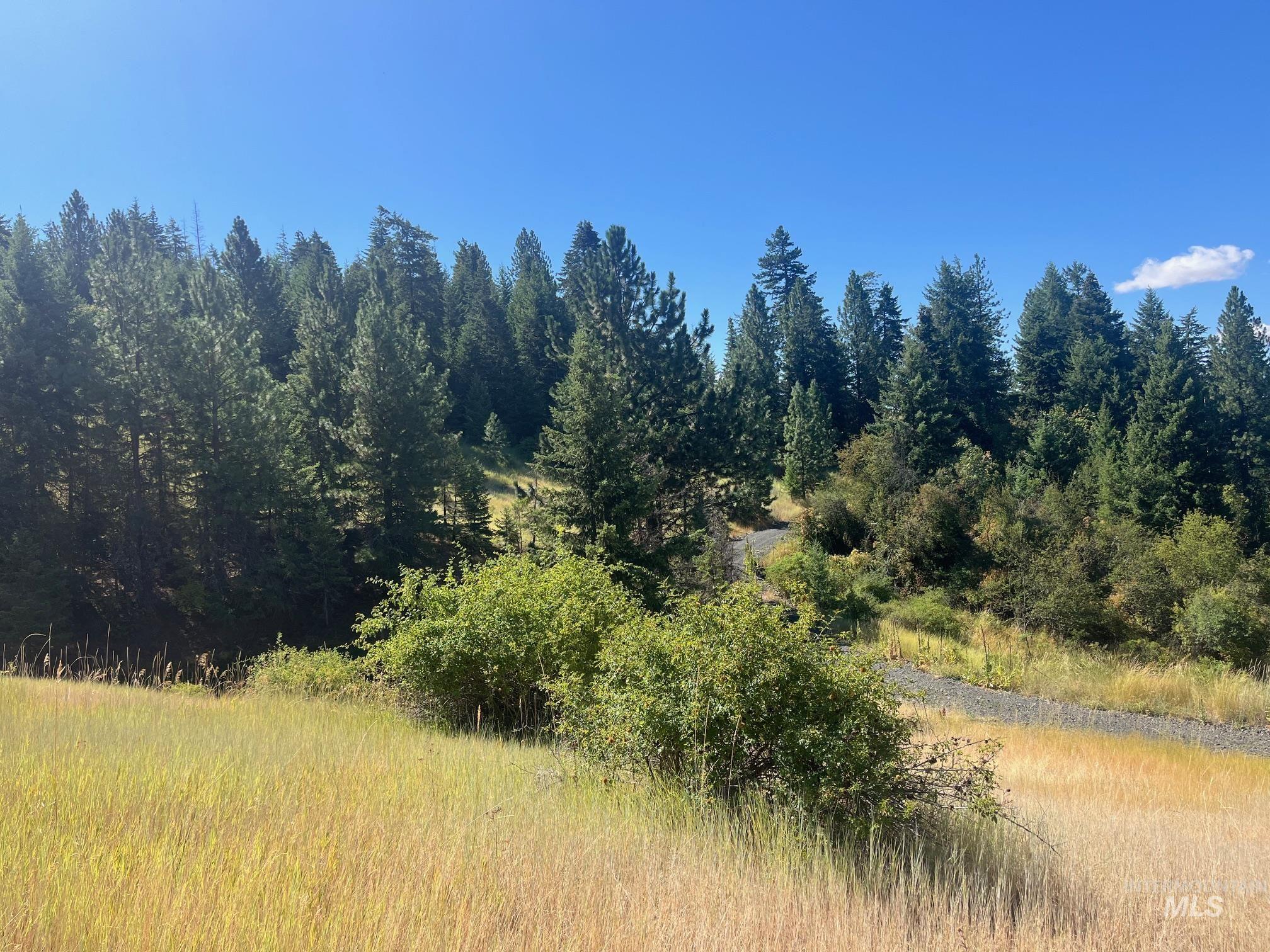 993 Norton Knob Ln, Orofino, Idaho 83544, Land For Sale, Price $230,000, 98975801