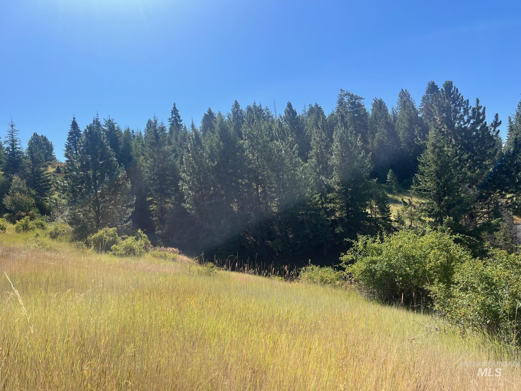 993 Norton Knob Ln, Orofino, Idaho 83544, Land For Sale, Price $230,000,MLS 98975801