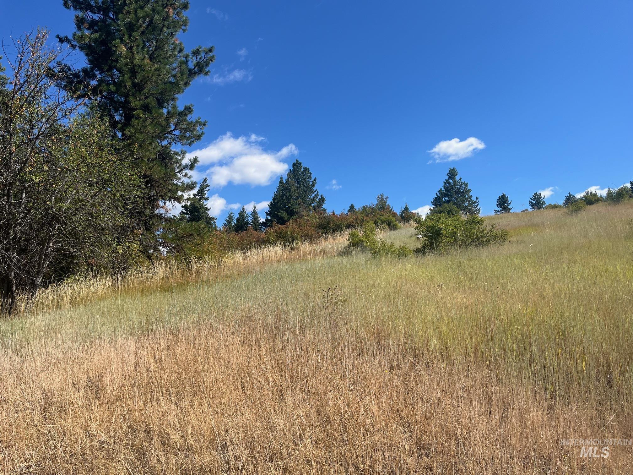993 Norton Knob Ln, Orofino, Idaho 83544, Land For Sale, Price $230,000, 98975801