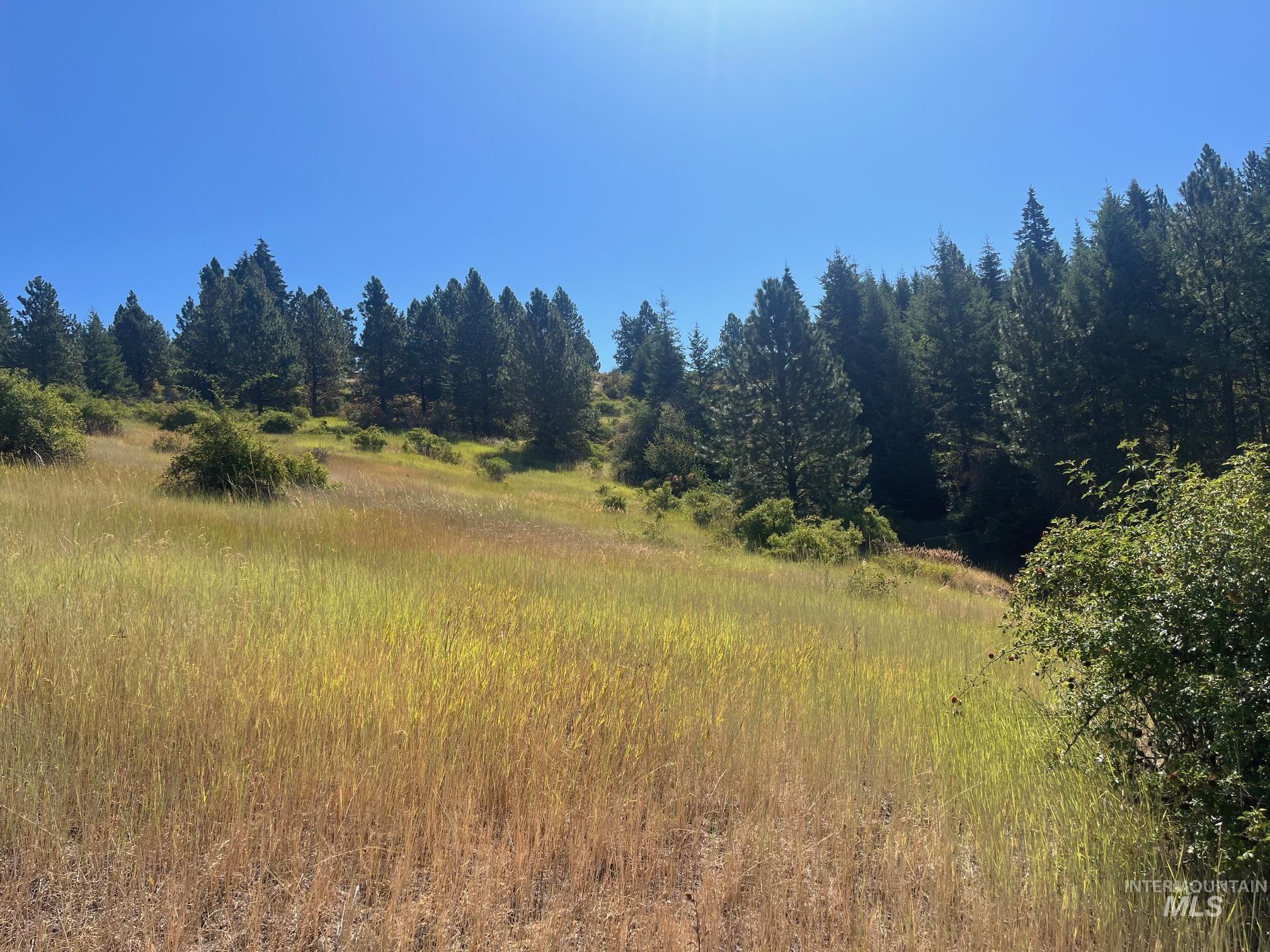 993 Norton Knob Ln, Orofino, Idaho 83544, Land For Sale, Price $230,000,MLS 98975801