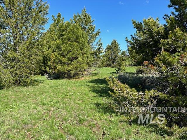 969 Valley View Dr, McCall, Idaho 83638, Land For Sale, Price $249,990,MLS 98975807