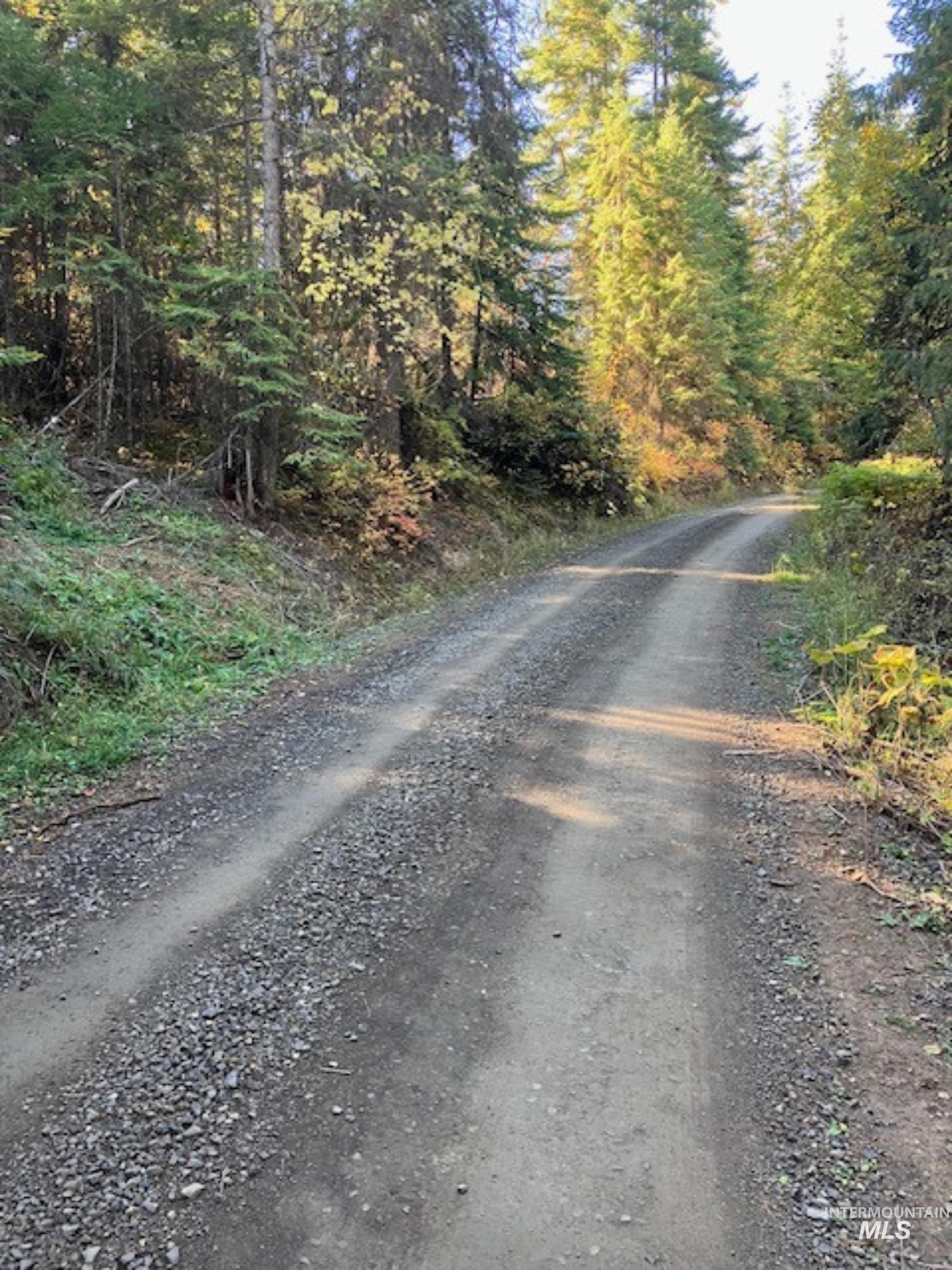 TBD Glacier Drive, St. Maries, Idaho 83861, Land For Sale, Price $65,000, 98975836