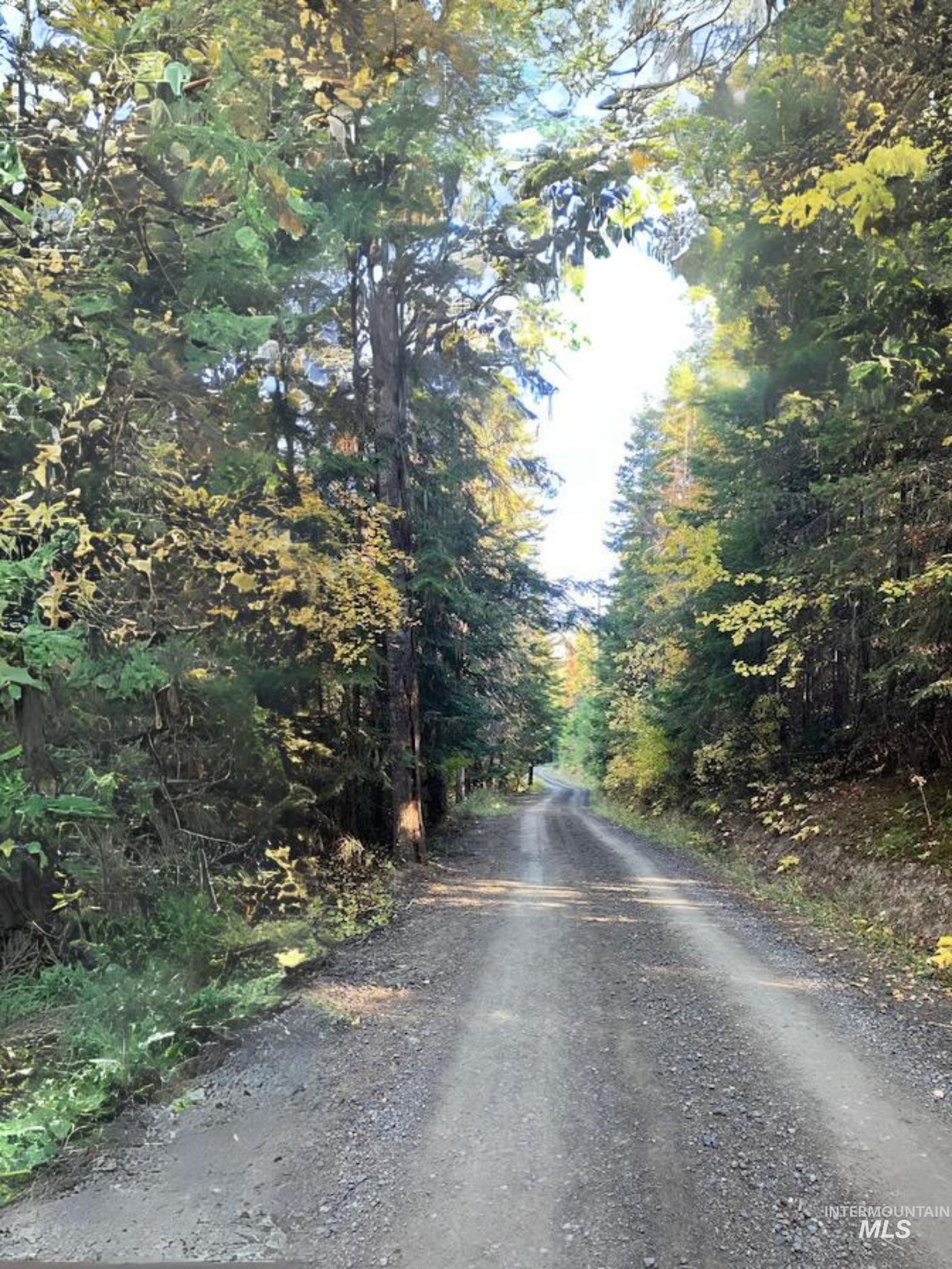 TBD Glacier Drive, St. Maries, Idaho 83861, Land For Sale, Price $65,000, 98975836