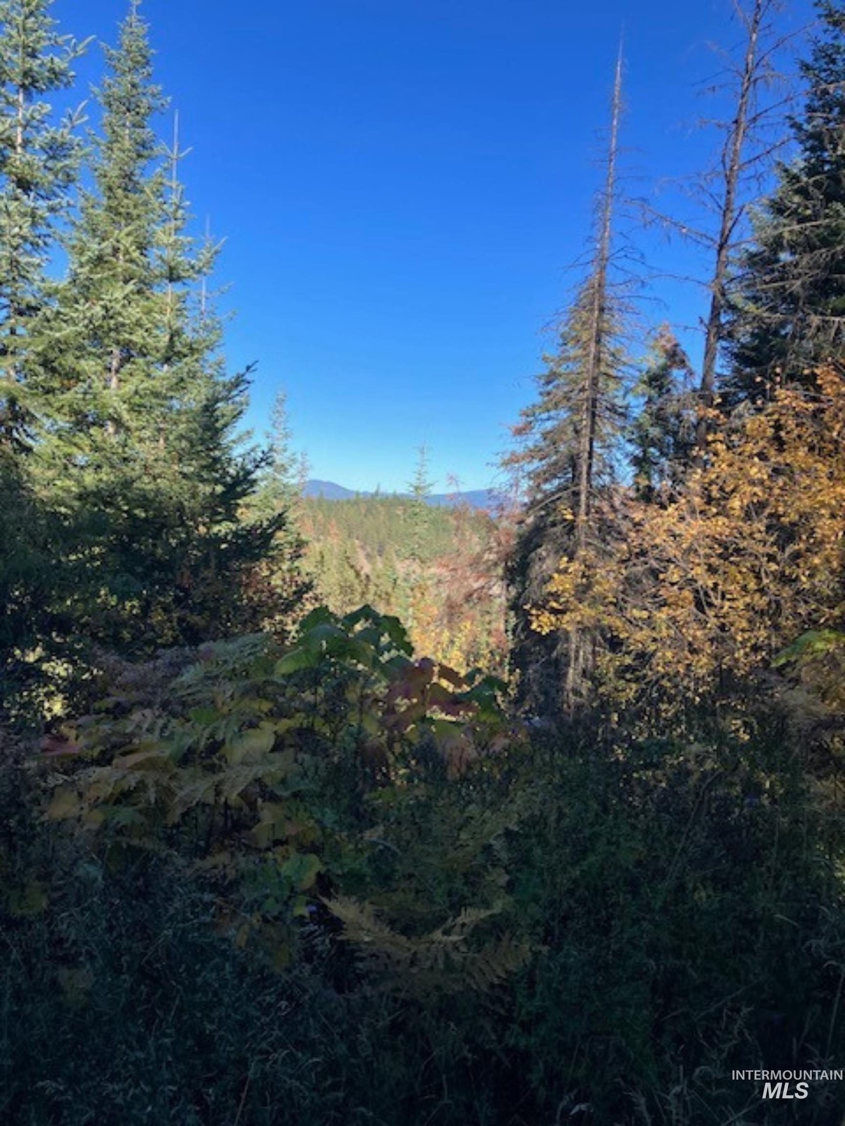 TBD Glacier Drive, St. Maries, Idaho 83861, Land For Sale, Price $65,000, 98975836