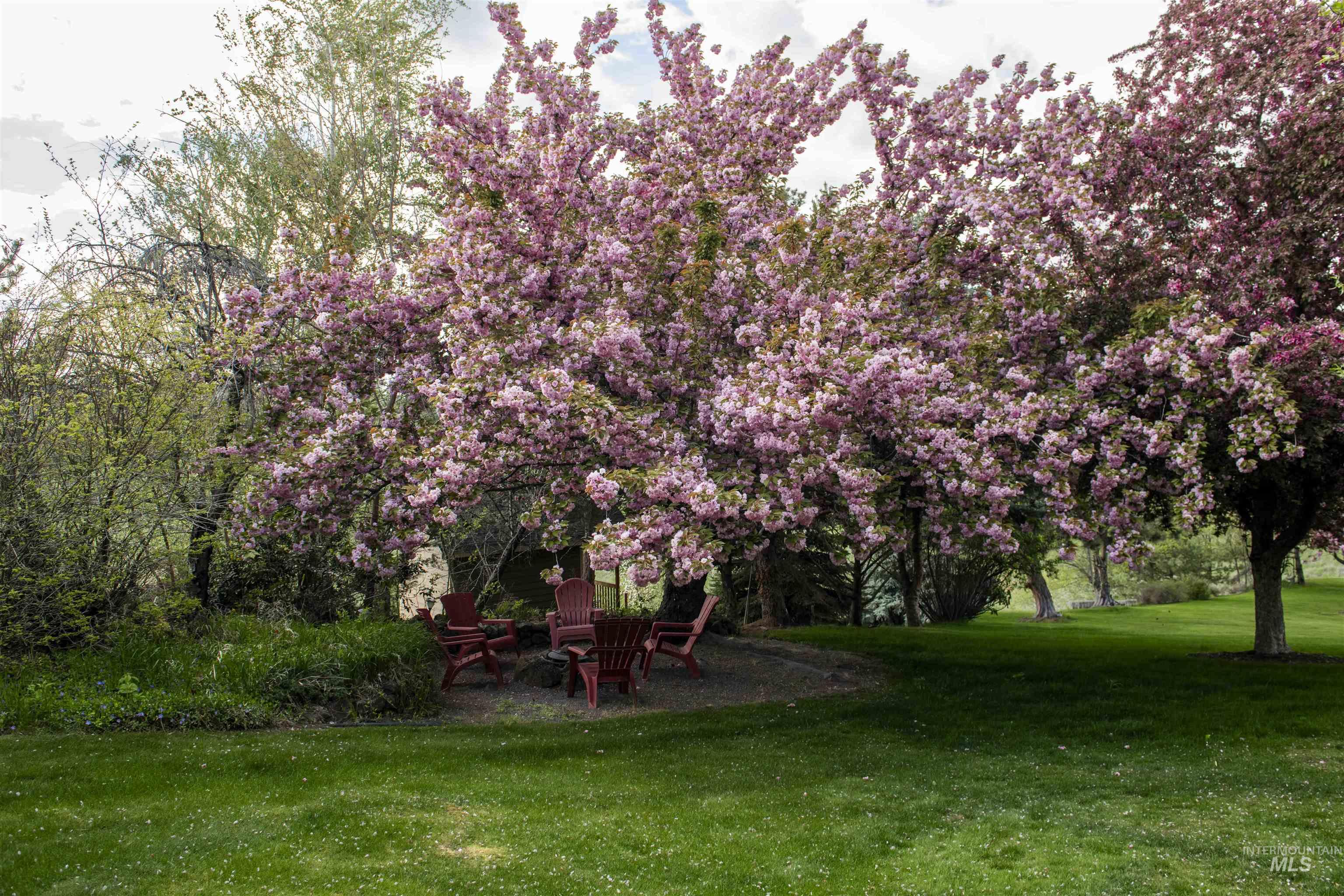 3780 Nicklaus Drive, Clarkston, Washington 99403, 4 Bedrooms, 3 Bathrooms, Residential For Sale, Price $699,000,MLS 98975837