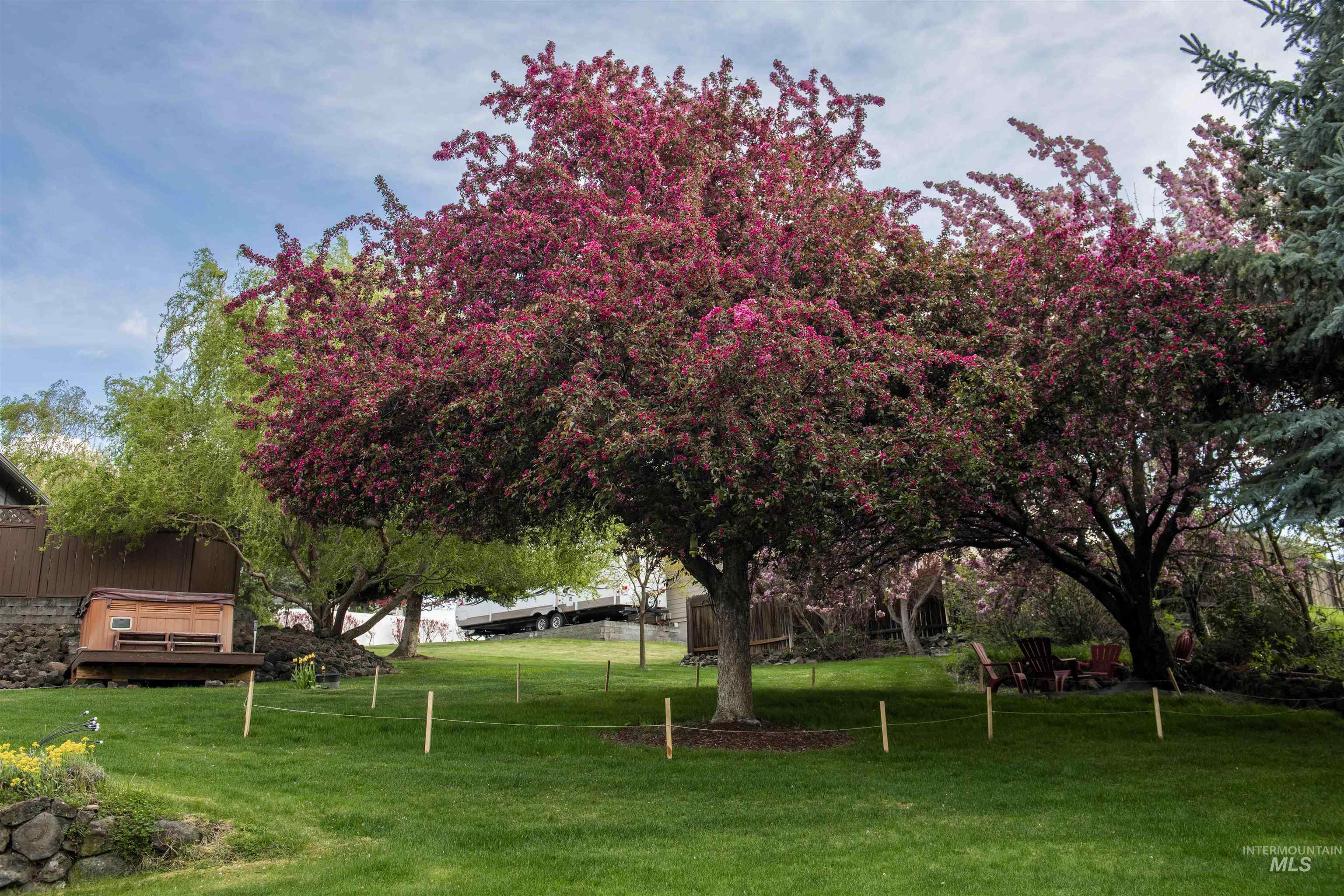 3780 Nicklaus Drive, Clarkston, Washington 99403, 4 Bedrooms, 3 Bathrooms, Residential For Sale, Price $699,000,MLS 98975837