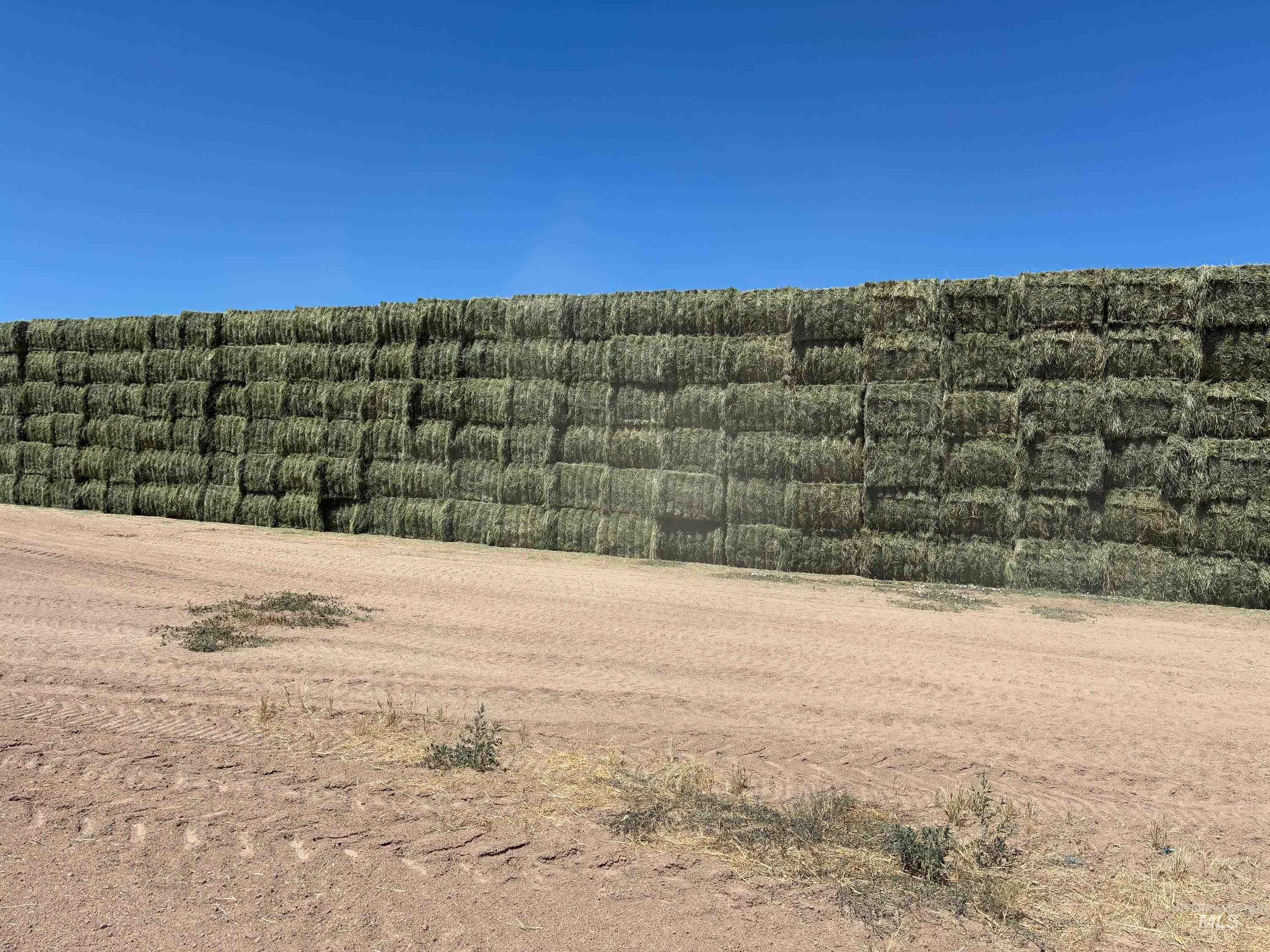 3850 Greenfield Road, Vale, Oregon 97918, 3 Bedrooms, 2 Bathrooms, Farm & Ranch For Sale, Price $6,500,000, 98975853