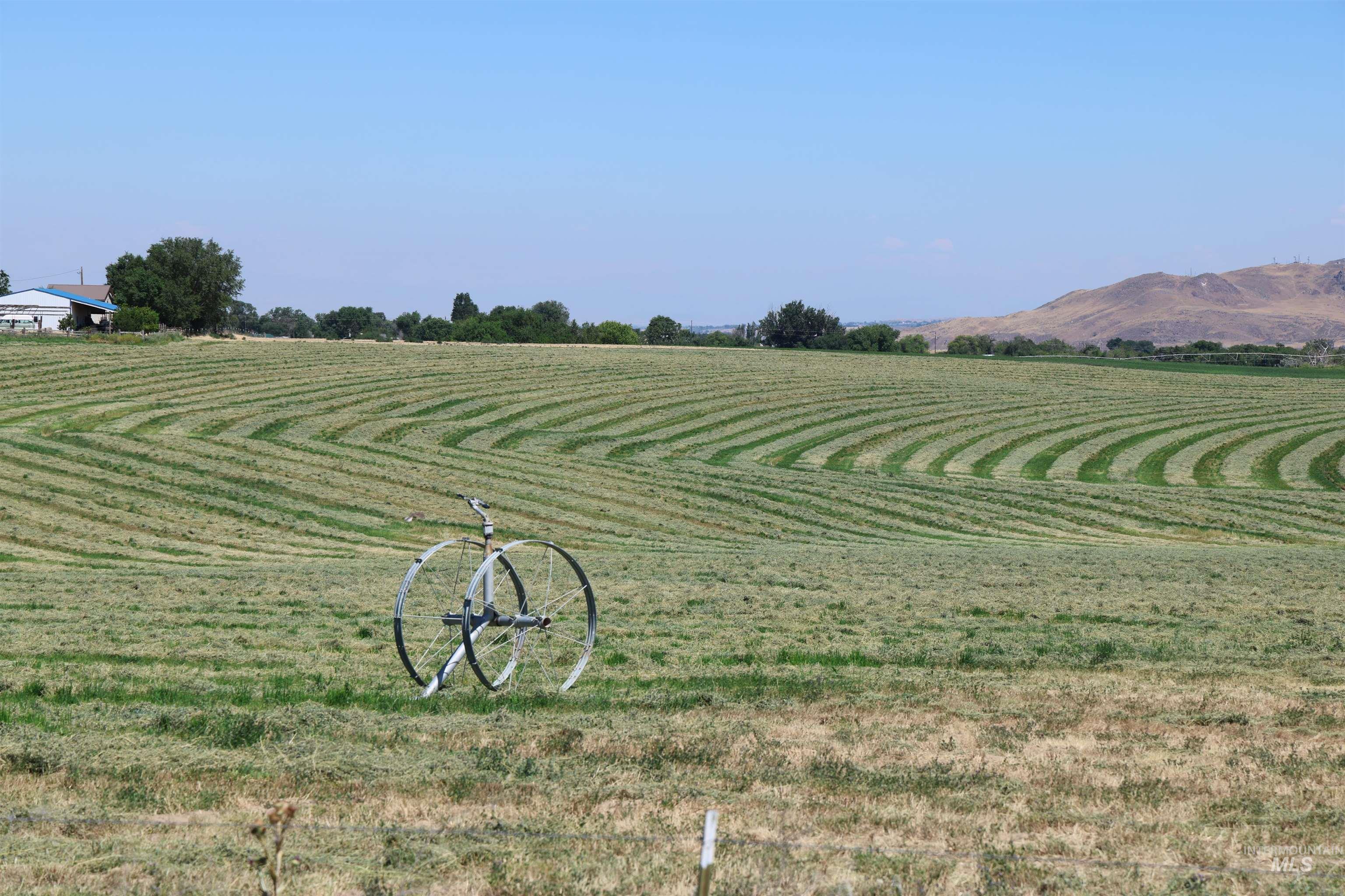 3850 Greenfield Road, Vale, Oregon 97918, 3 Bedrooms, 2 Bathrooms, Farm & Ranch For Sale, Price $5,900,000,MLS 98975853