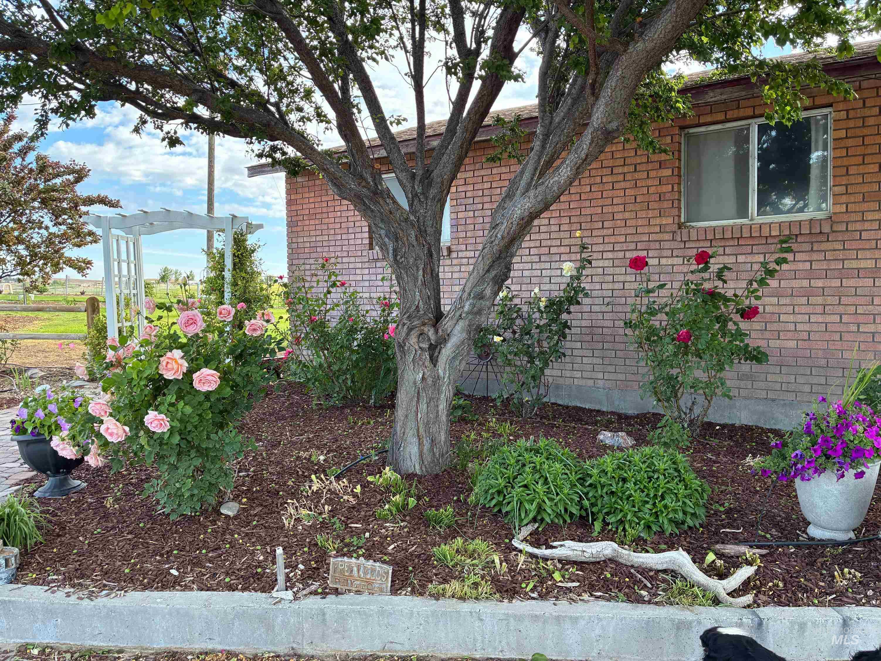 3850 Greenfield Road, Vale, Oregon 97918, 3 Bedrooms, 2 Bathrooms, Farm & Ranch For Sale, Price $6,500,000, 98975853